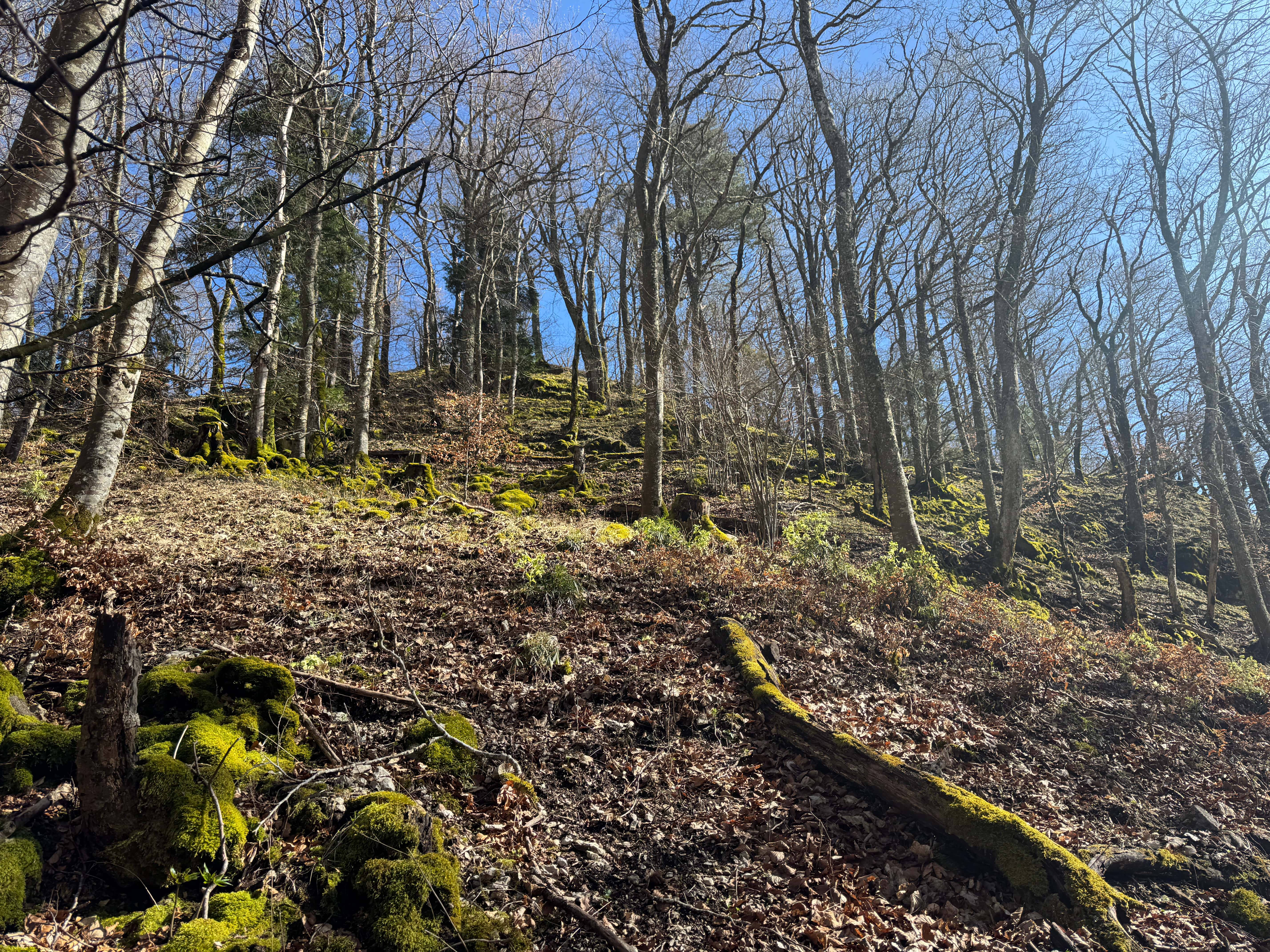 Vue aerienne des montagnes