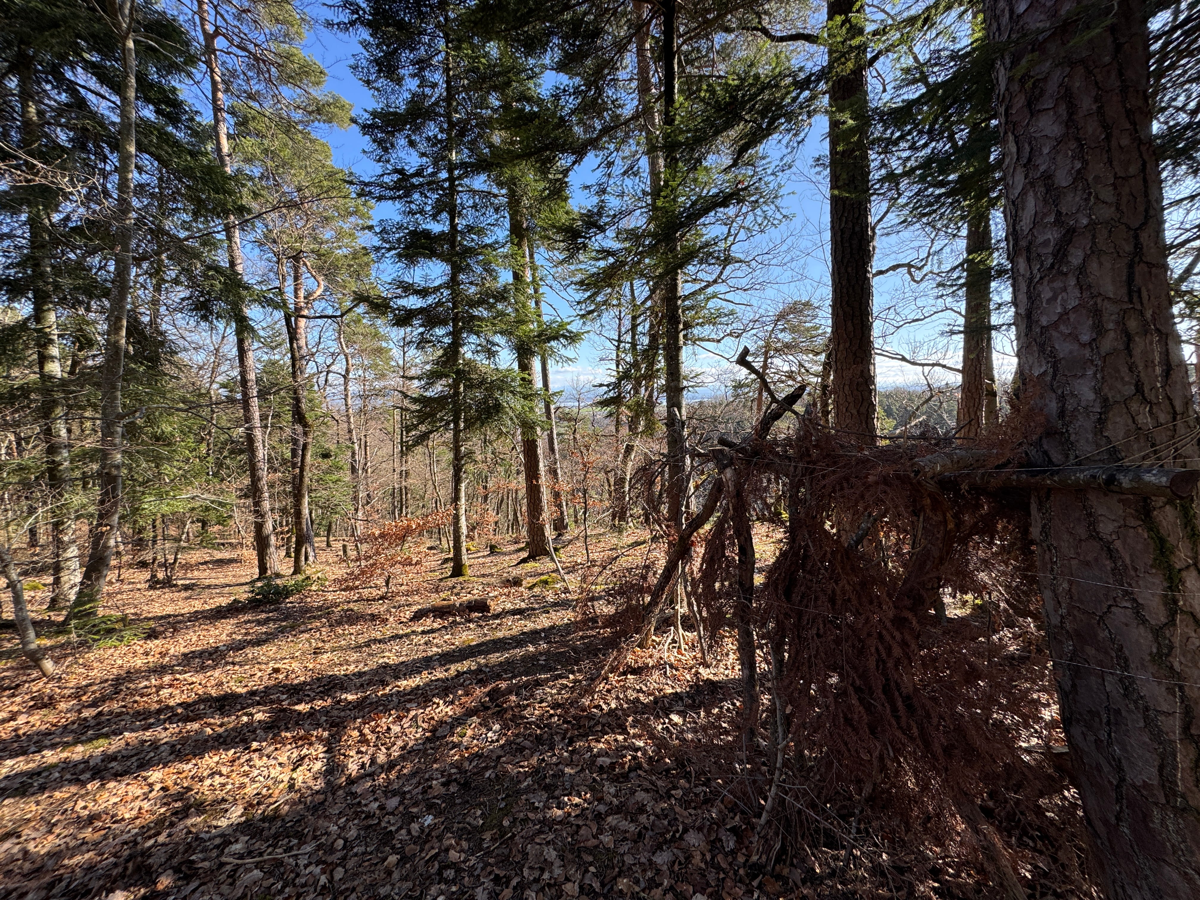 Vue aerienne des montagnes
