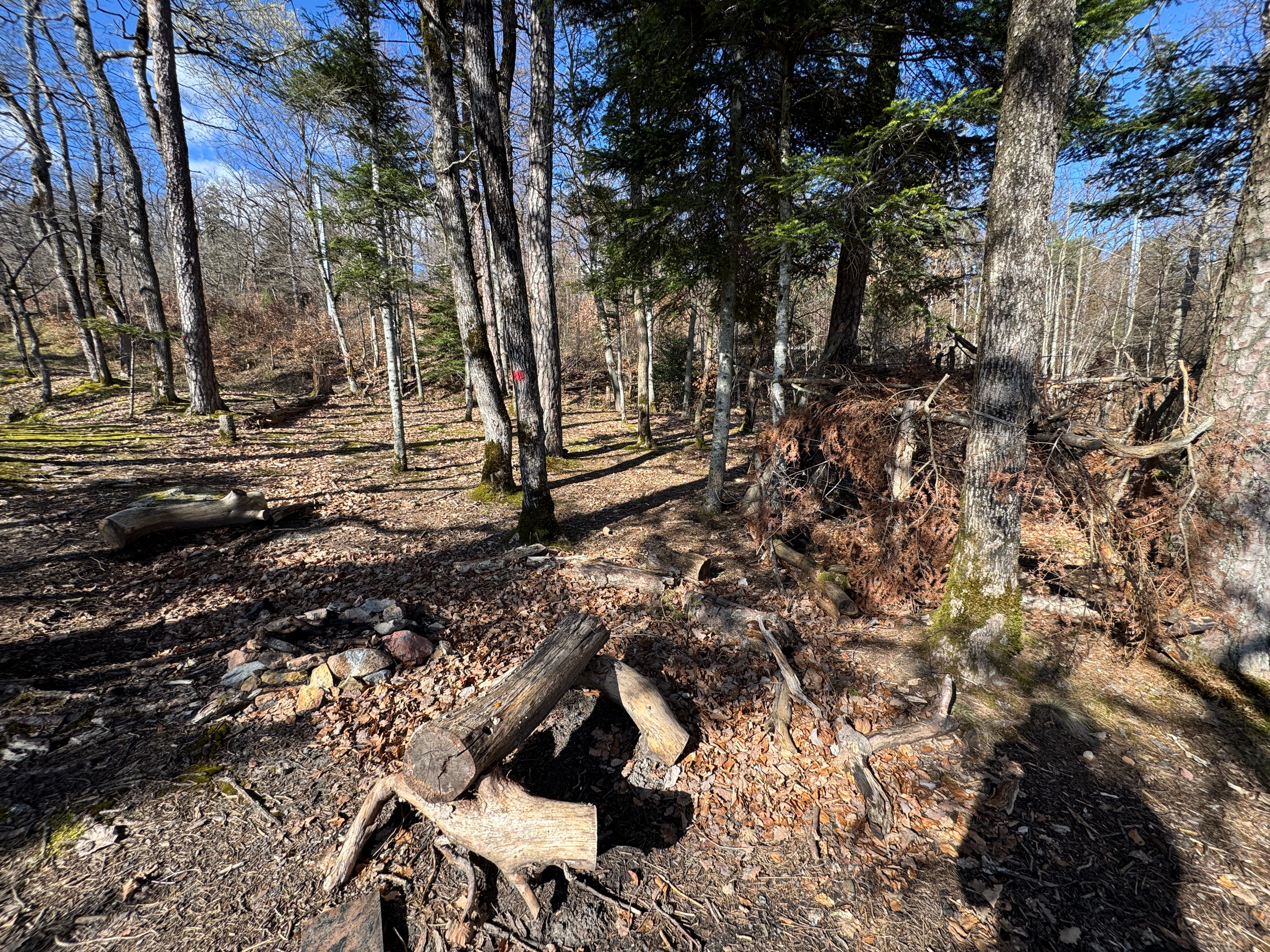 Vue aerienne des montagnes