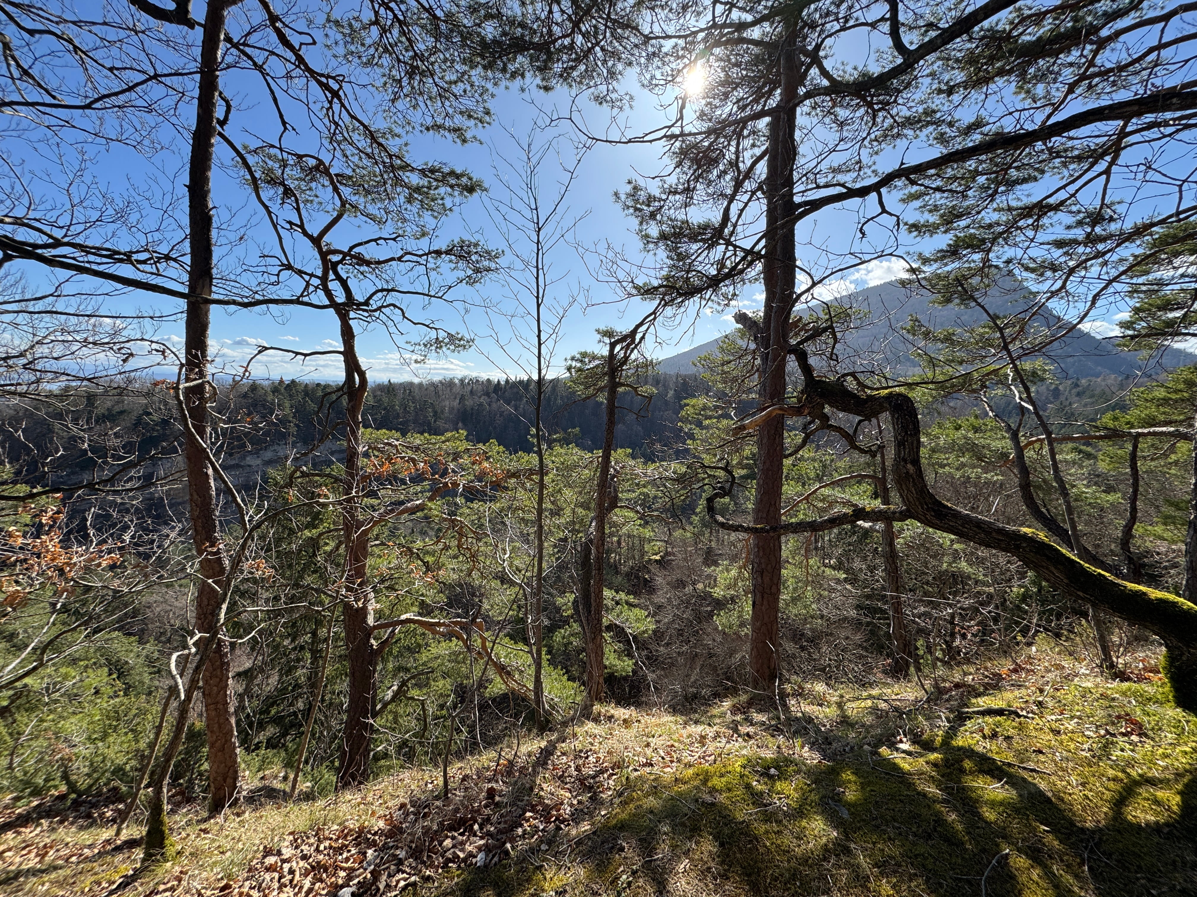 Vue aerienne des montagnes