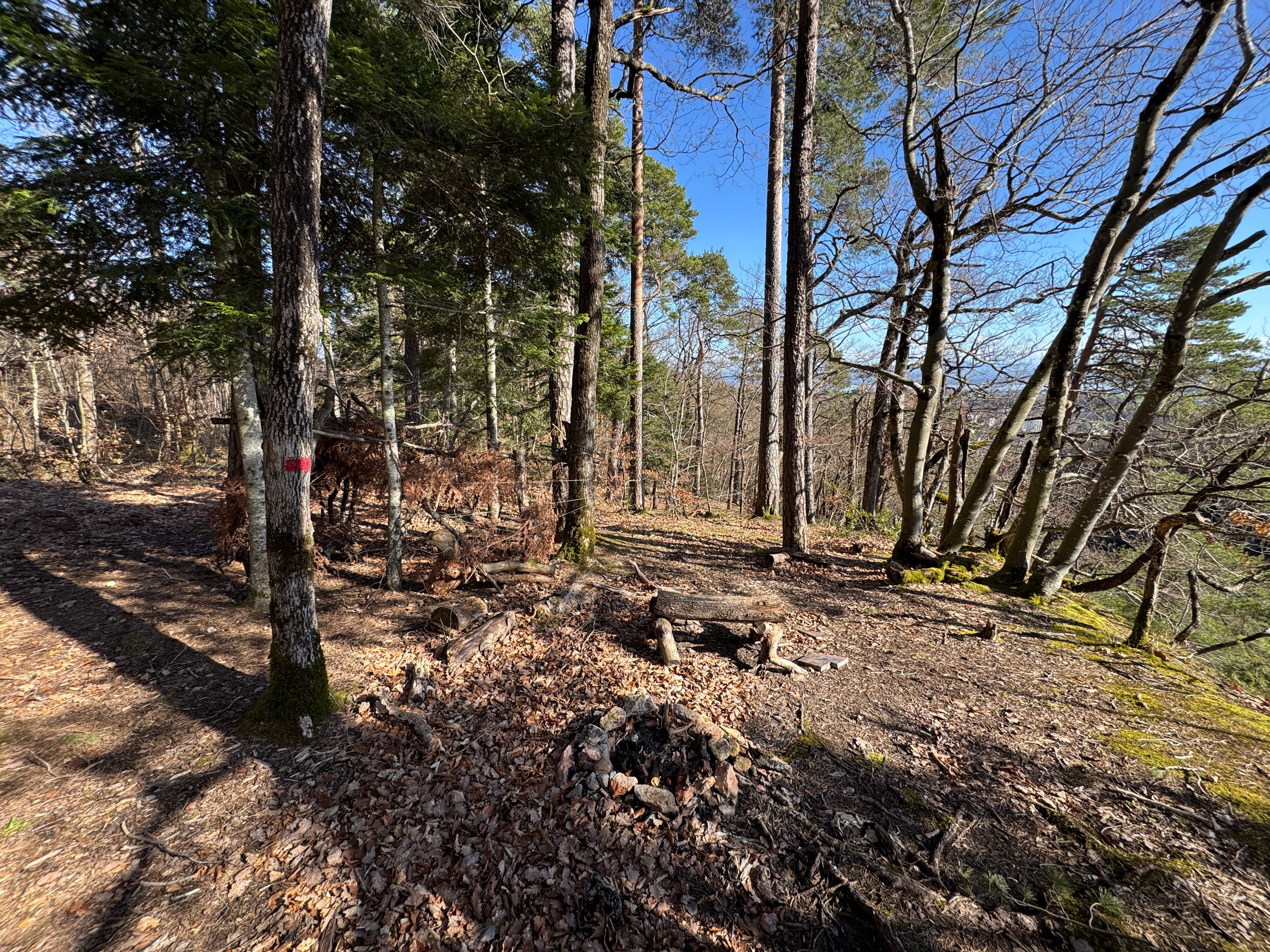 Vue aerienne des montagnes