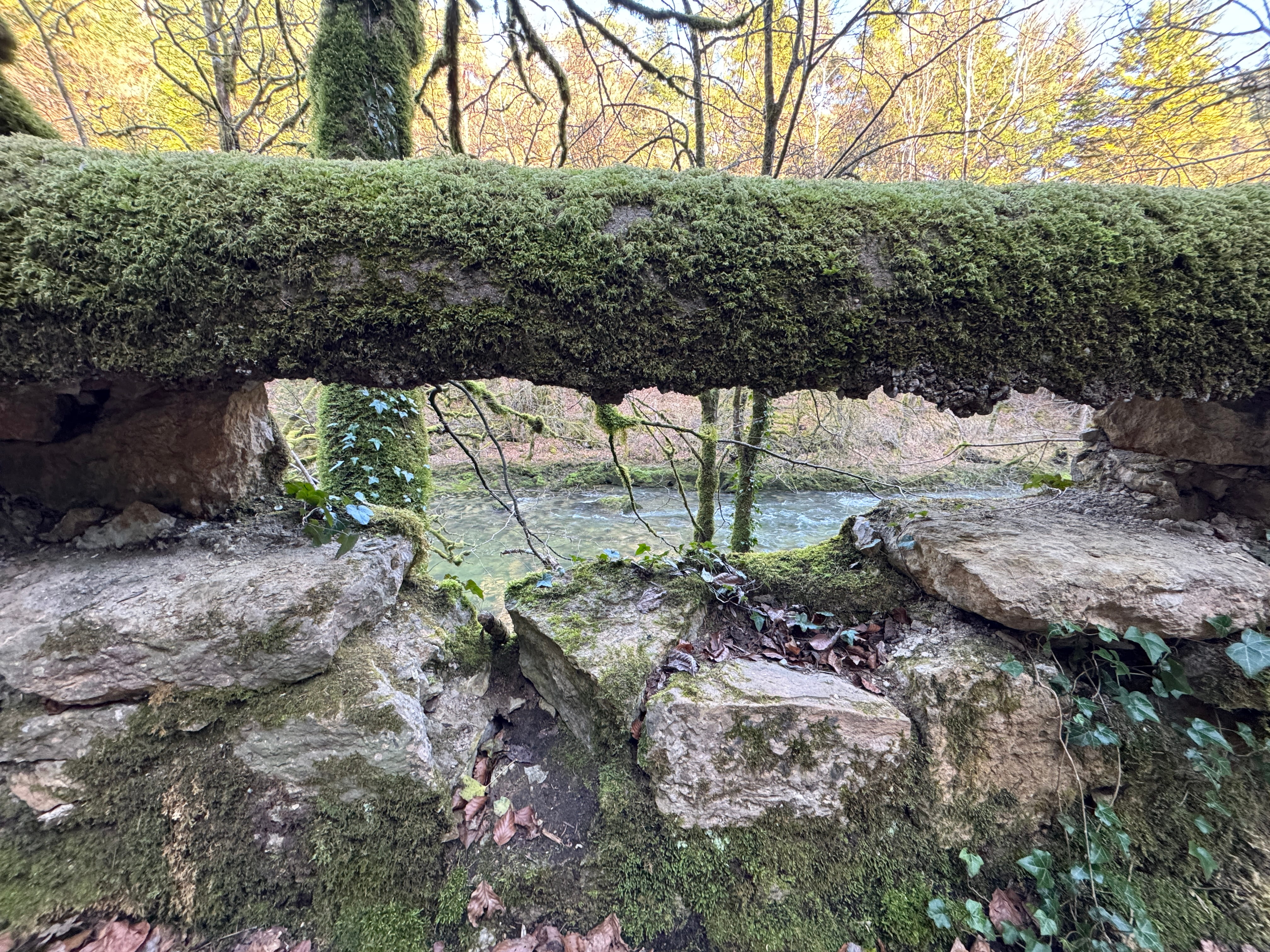 Vue aerienne des montagnes