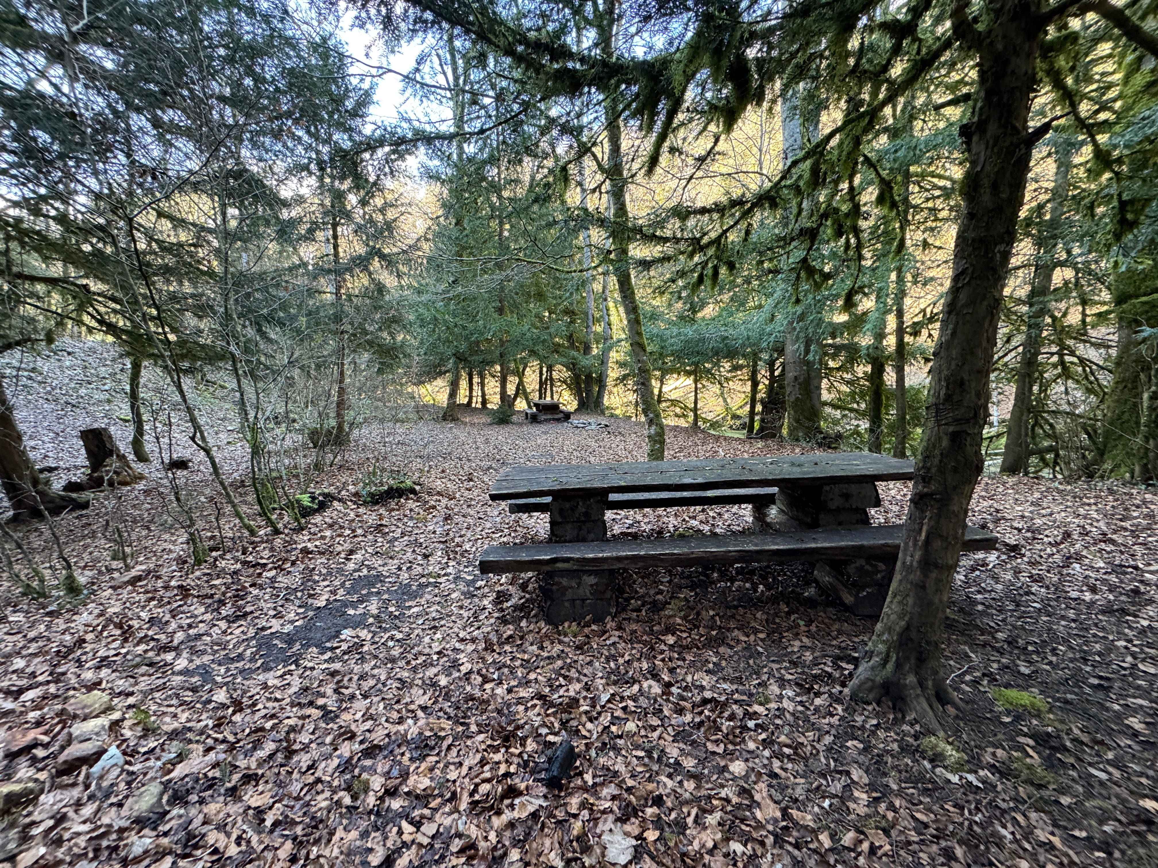 Vue aerienne des montagnes
