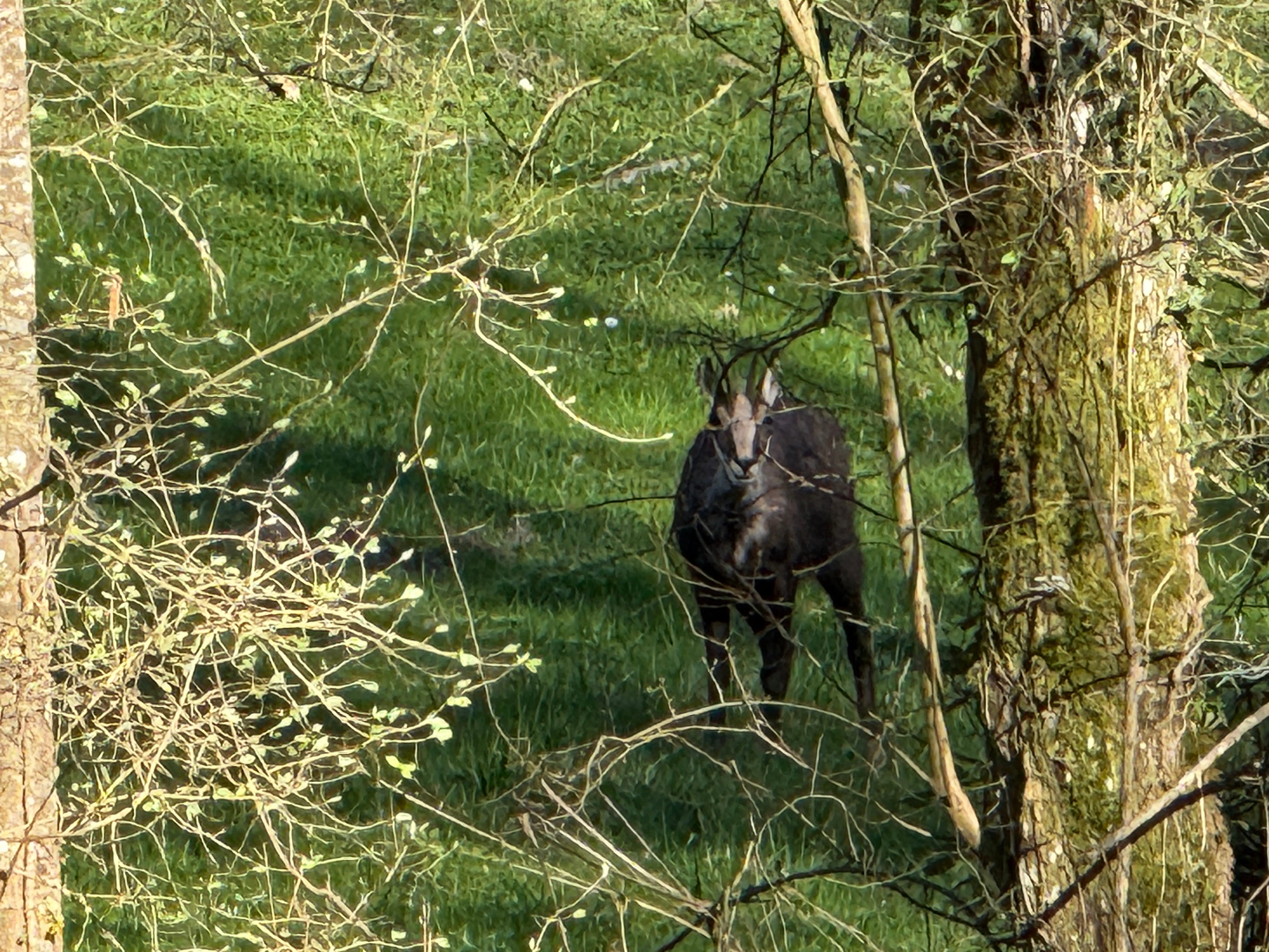 Vue aerienne des montagnes