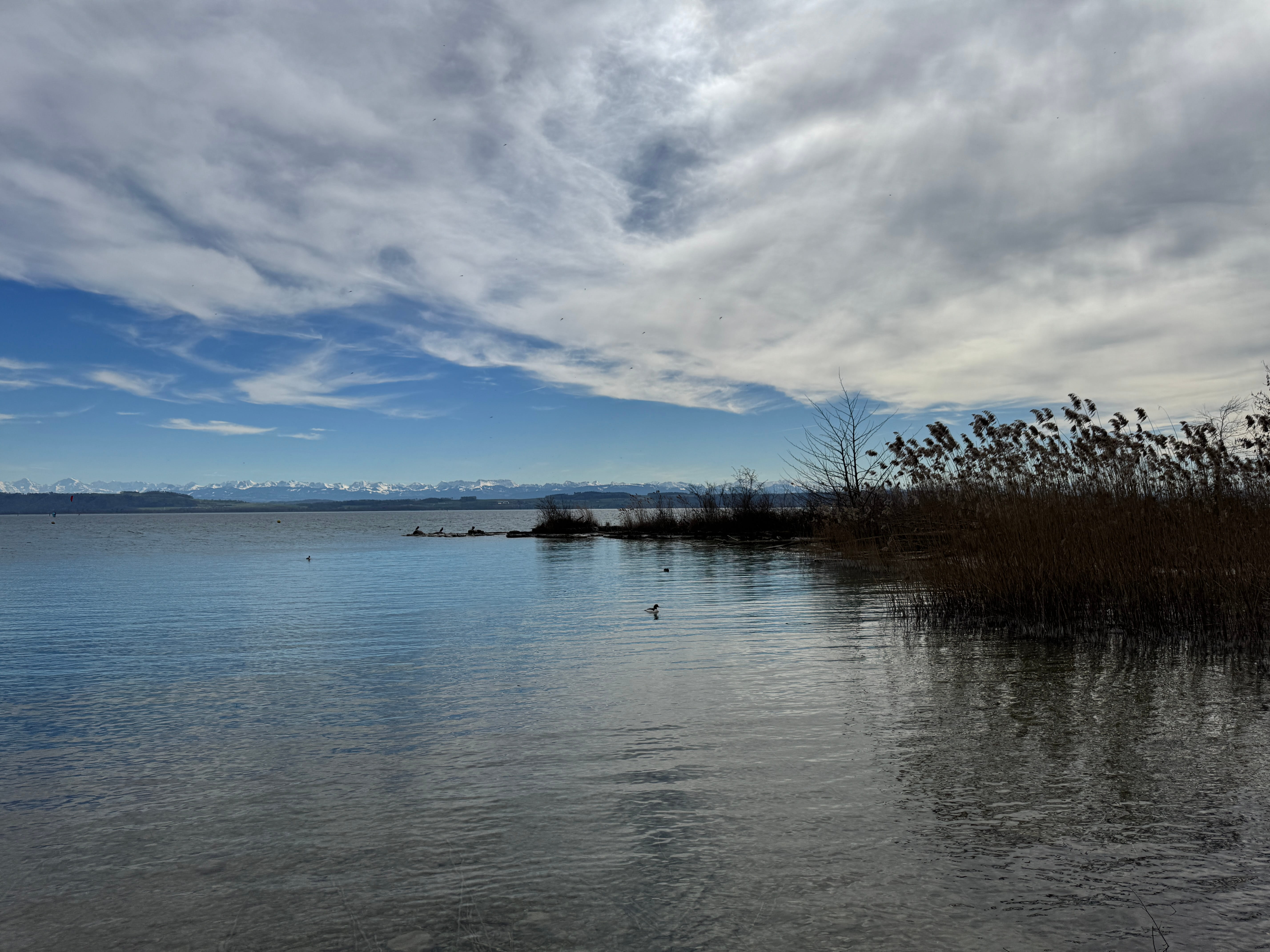 Vue aerienne des montagnes