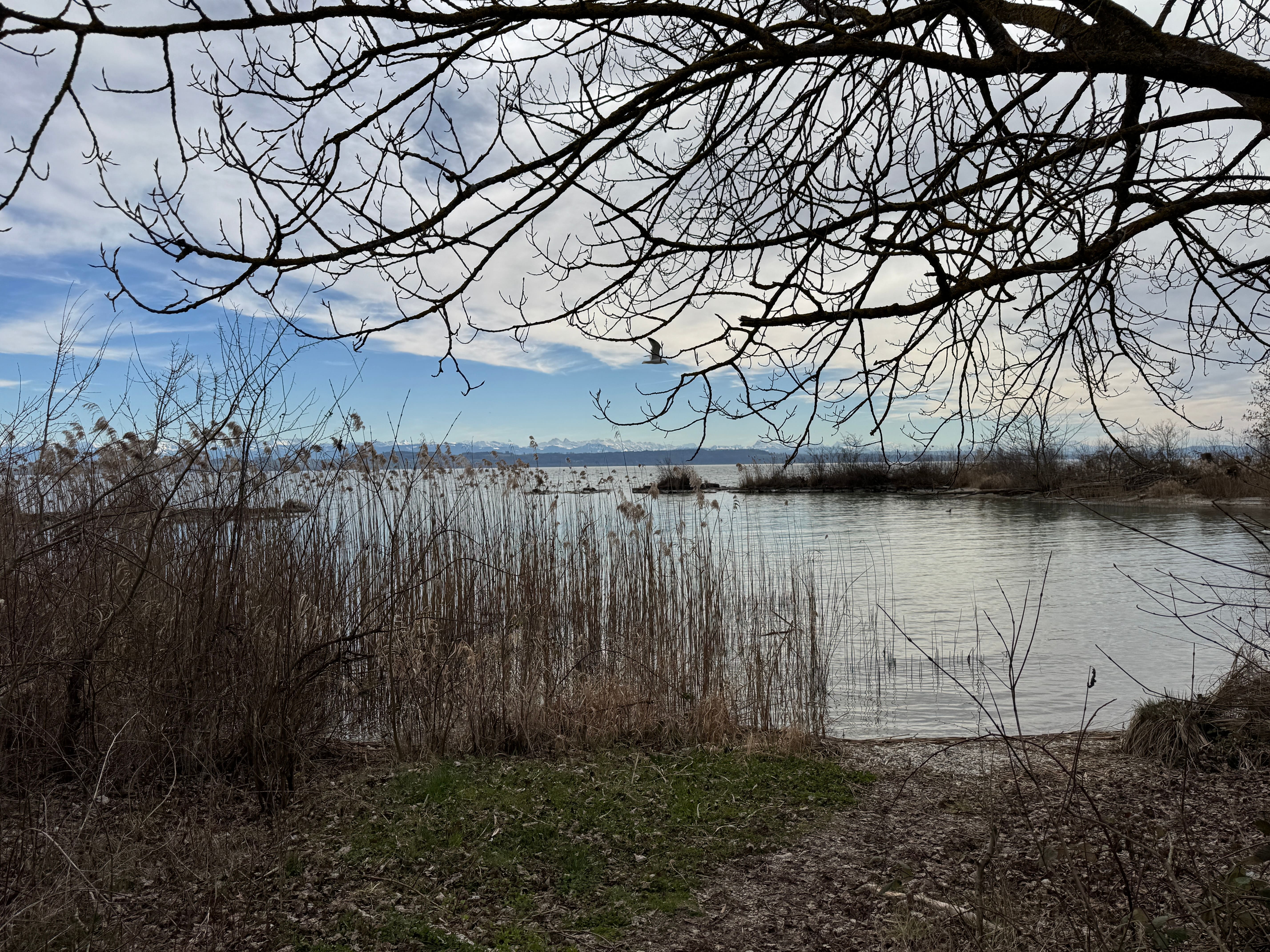 Vue aerienne des montagnes