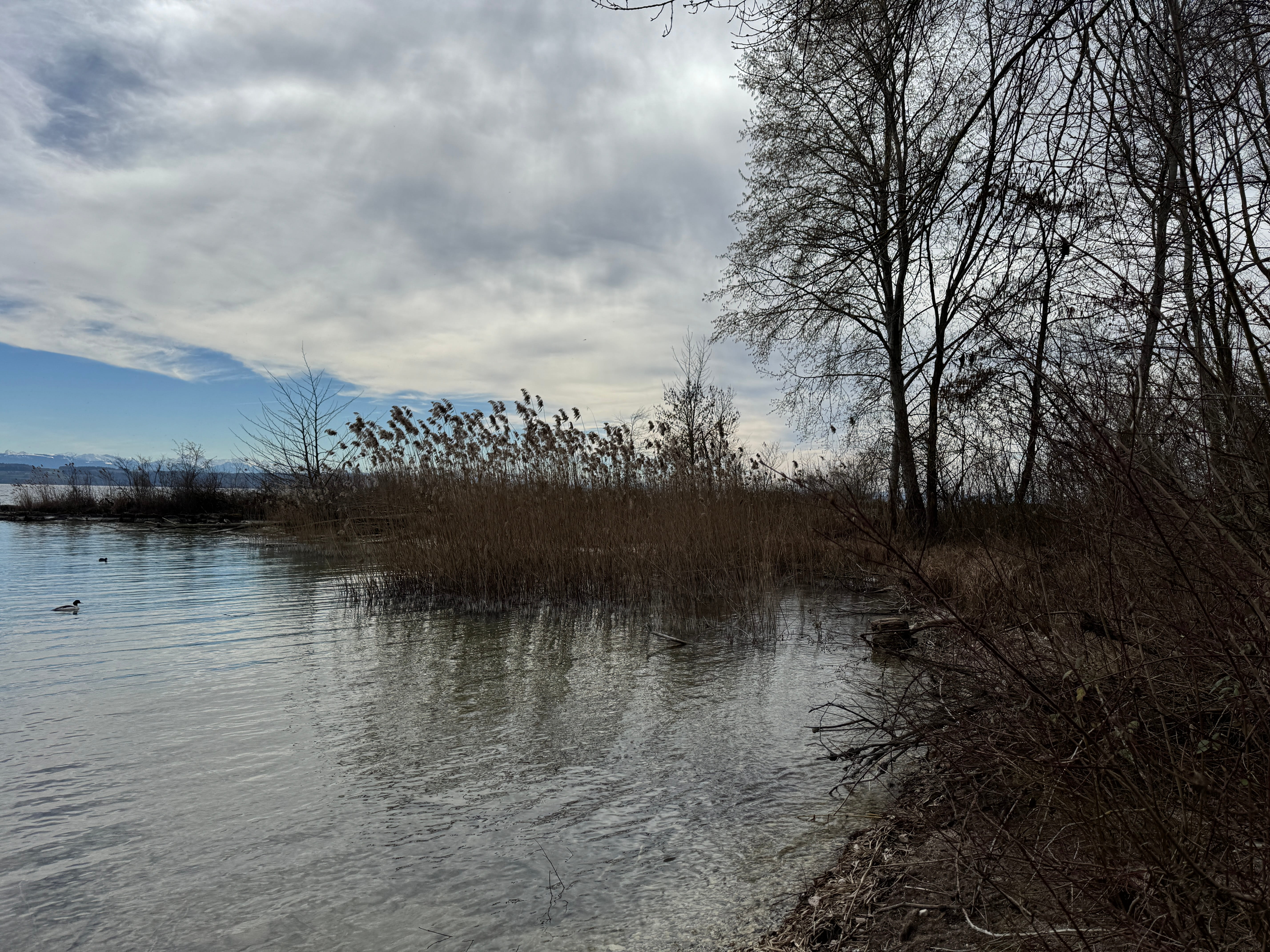 Vue aerienne des montagnes