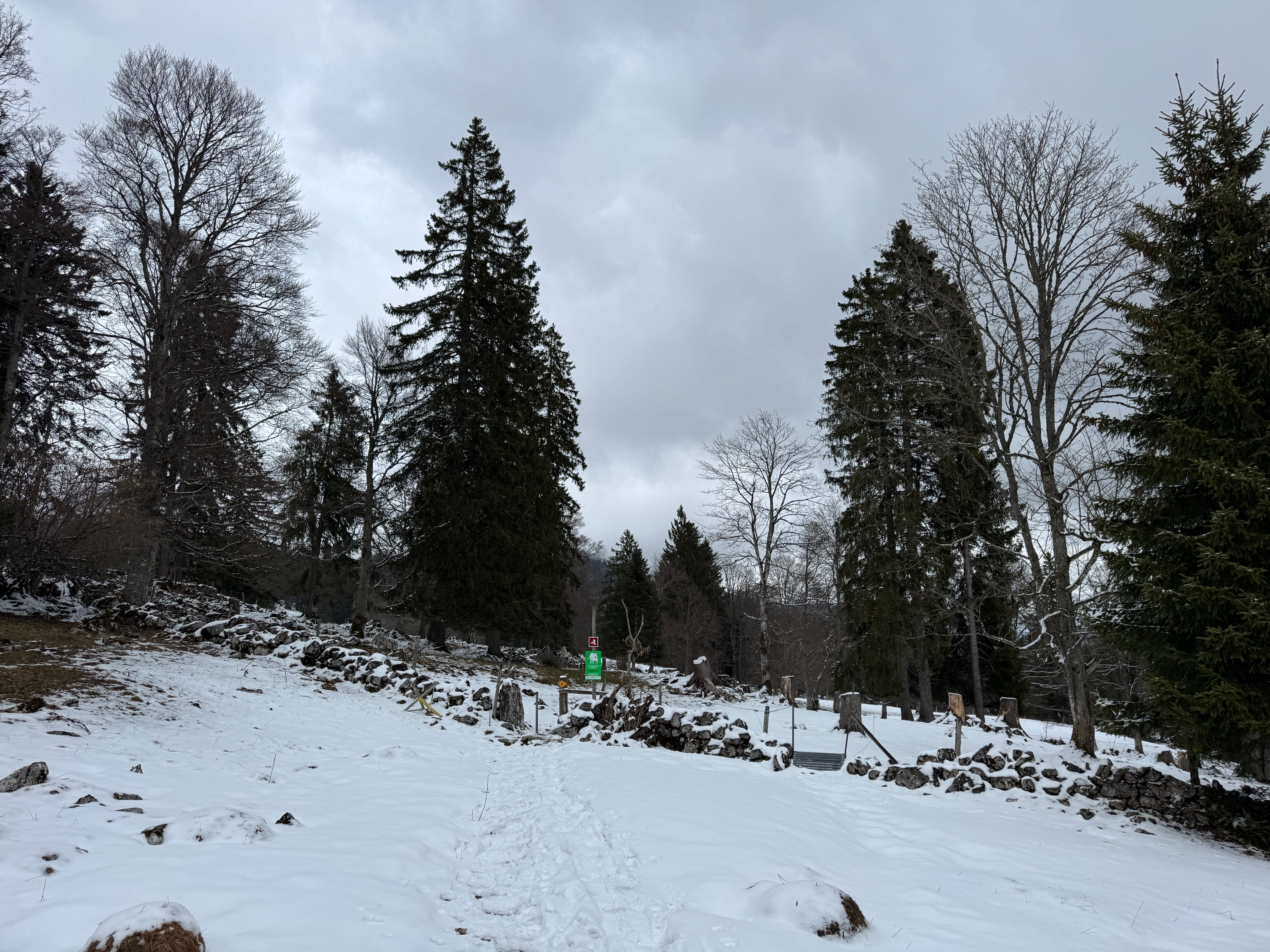 Vue aerienne des montagnes