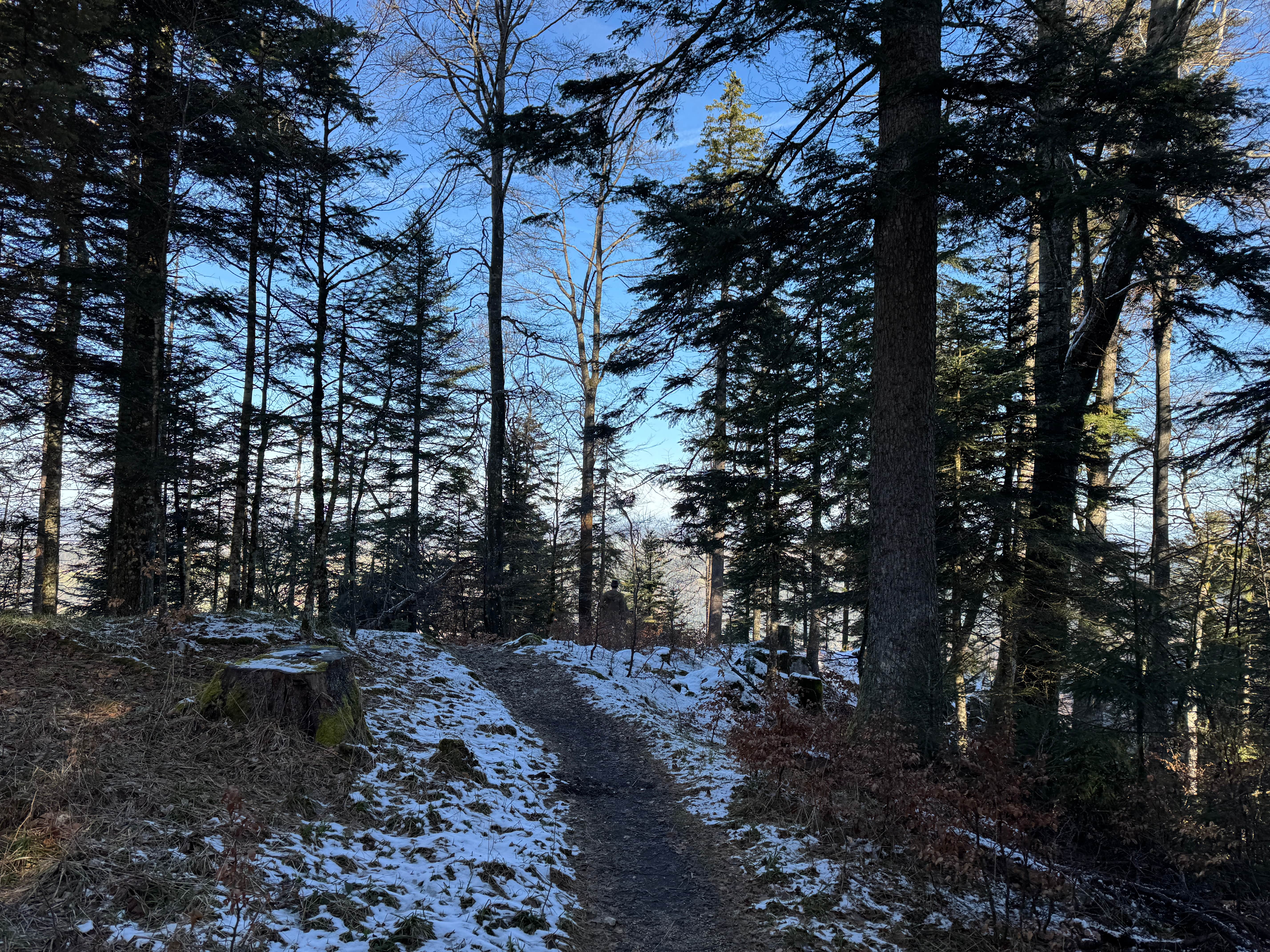 Vue aerienne des montagnes