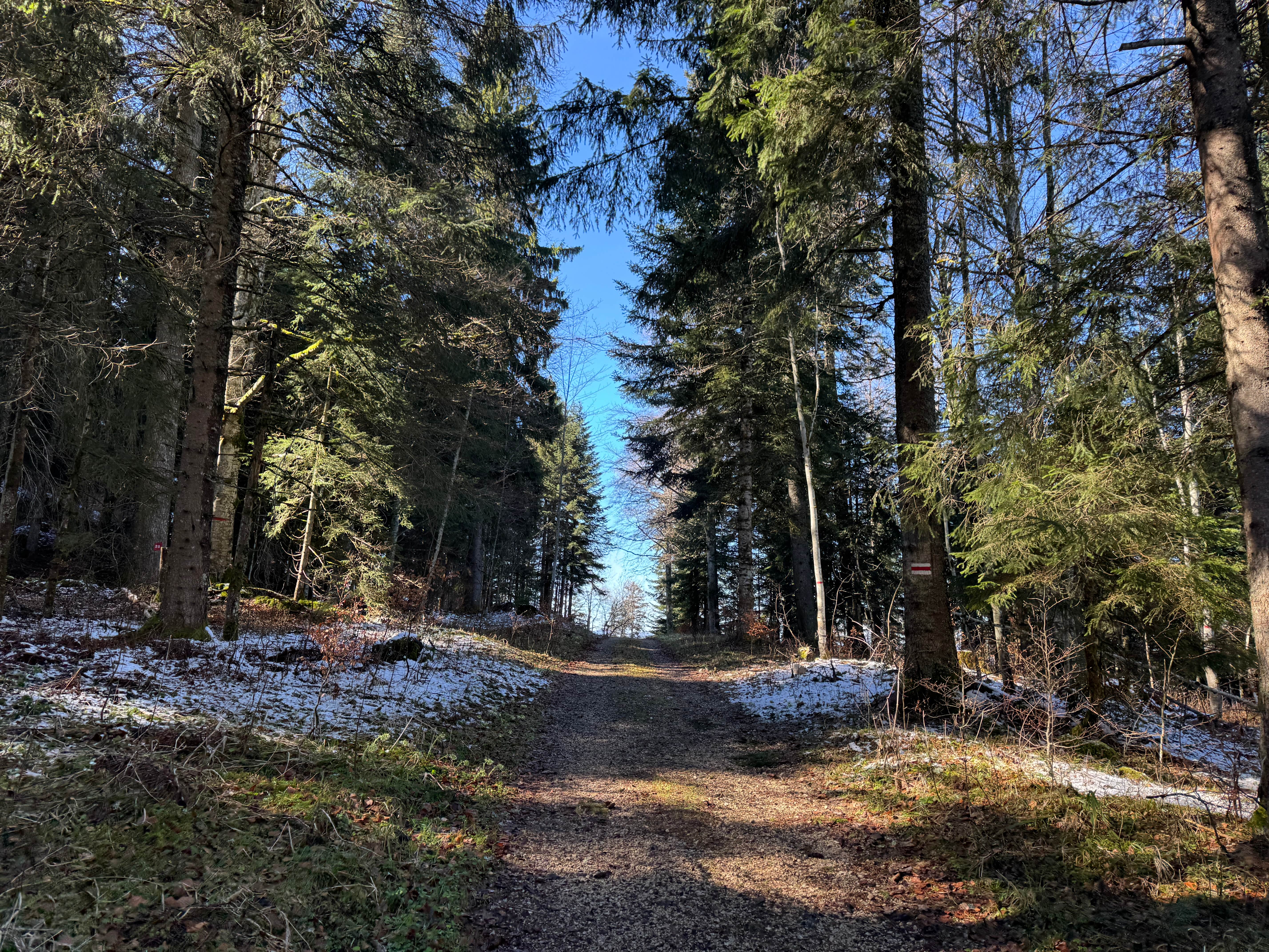 Vue aerienne des montagnes