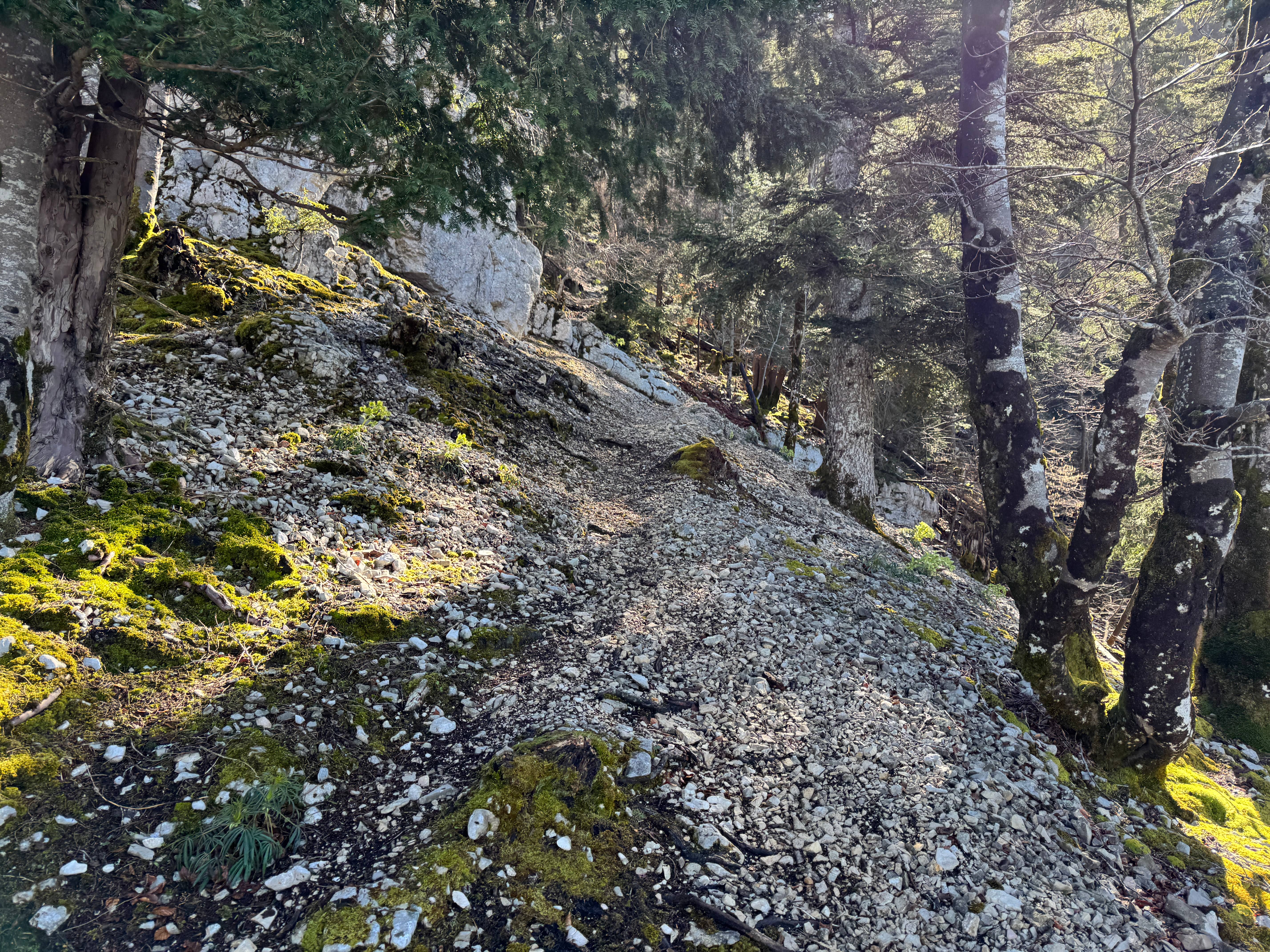 Vue aerienne des montagnes