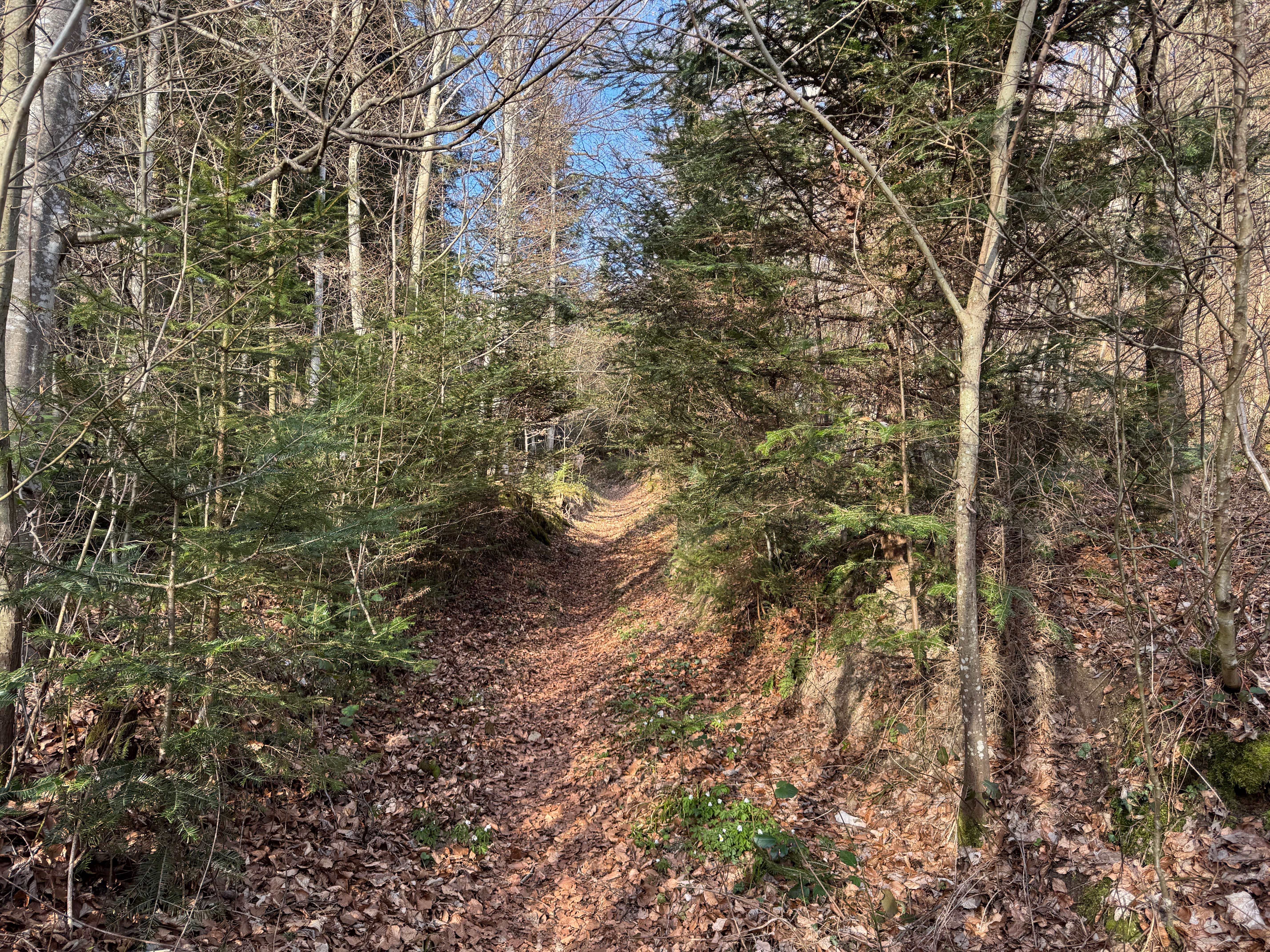 Vue aerienne des montagnes