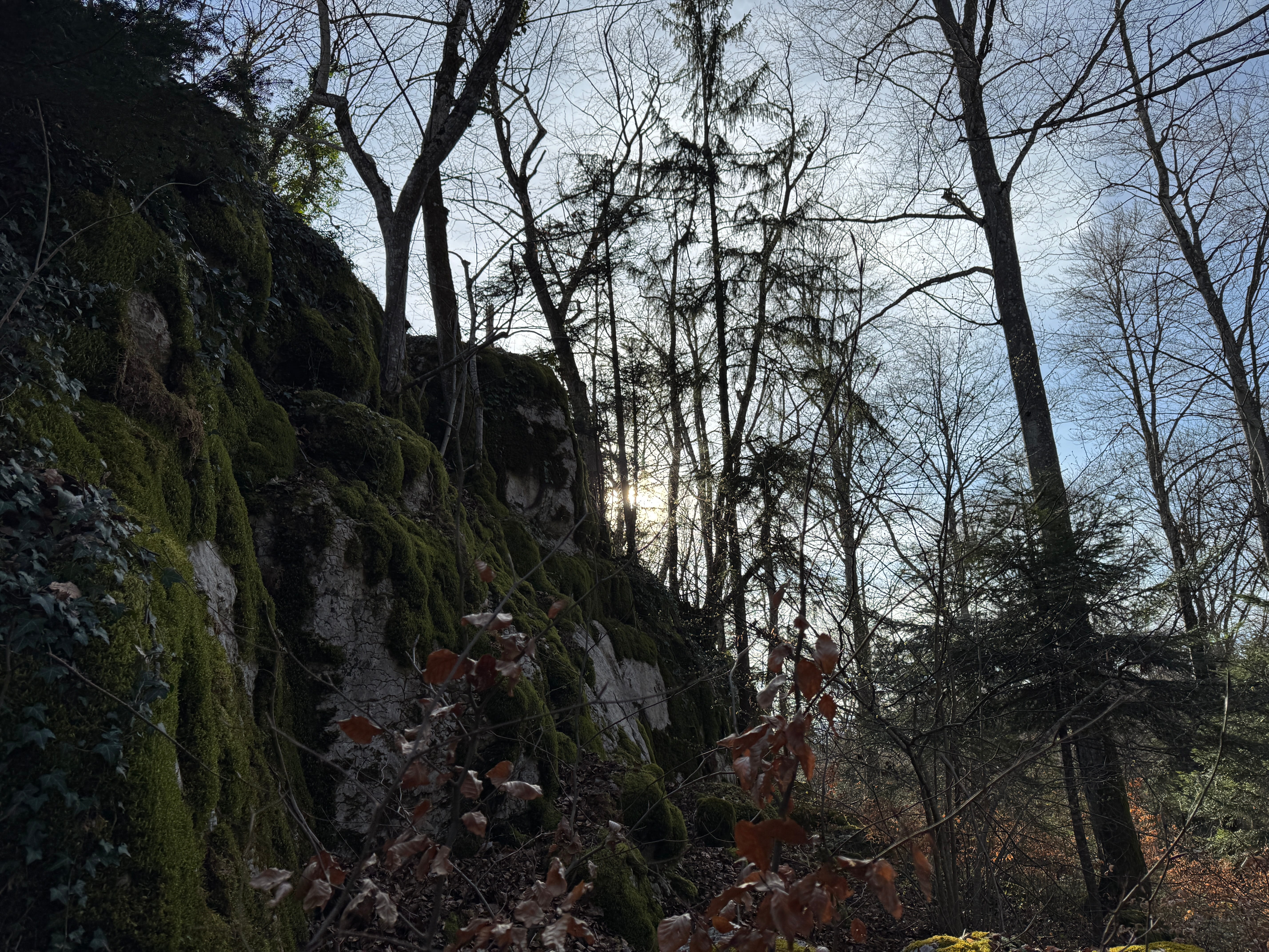 Vue aerienne des montagnes
