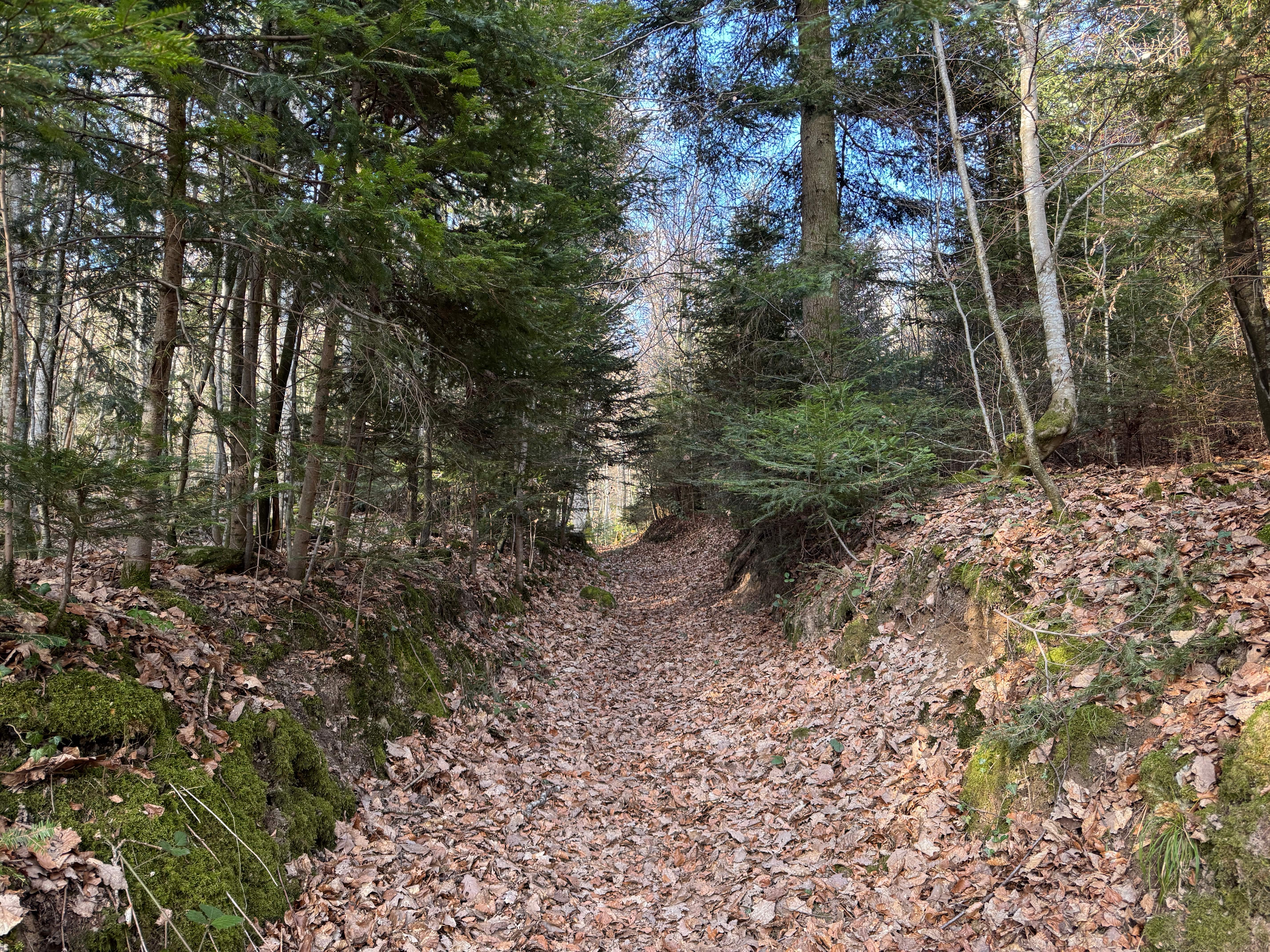 Vue aerienne des montagnes
