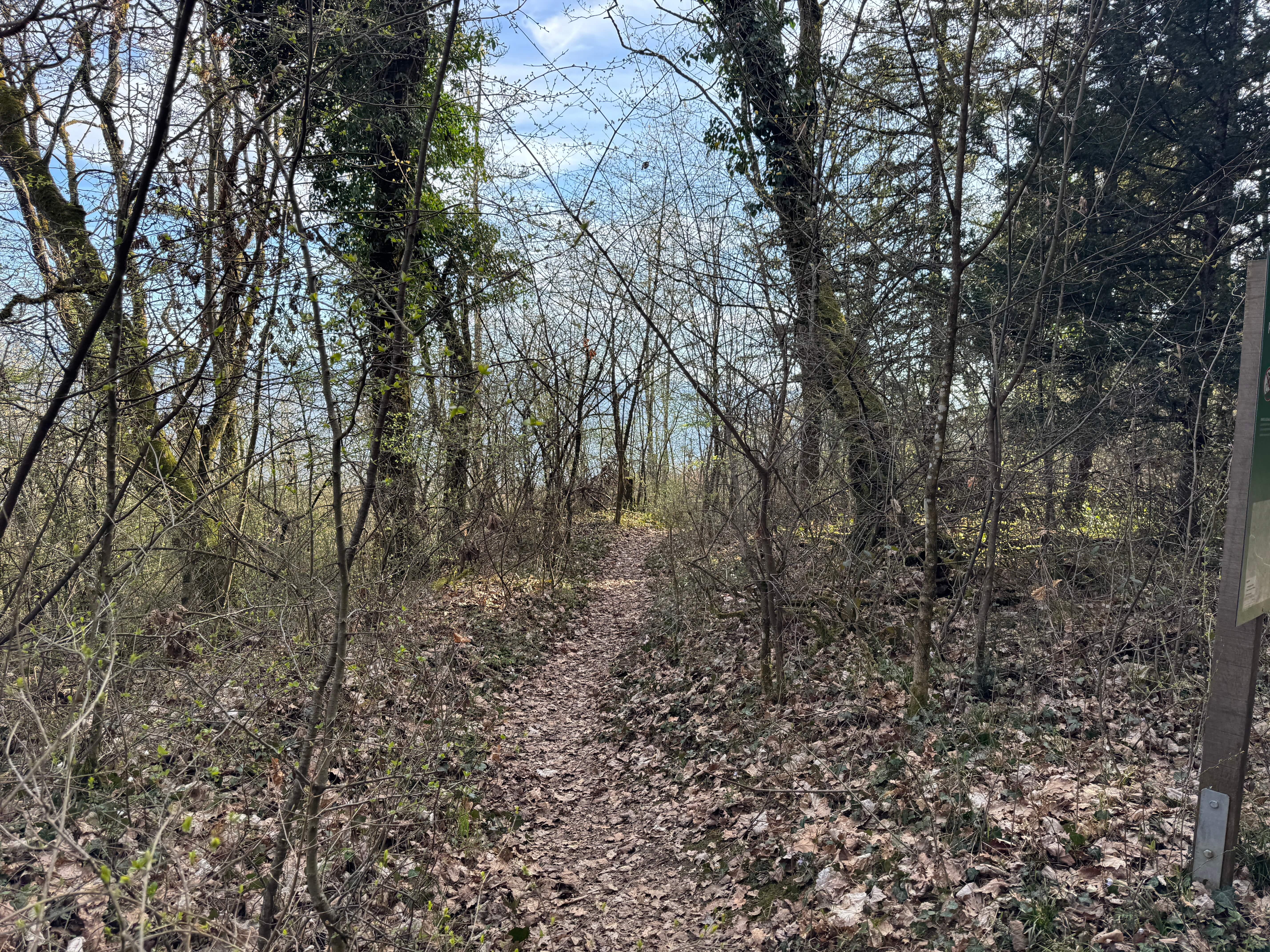 Vue aerienne des montagnes
