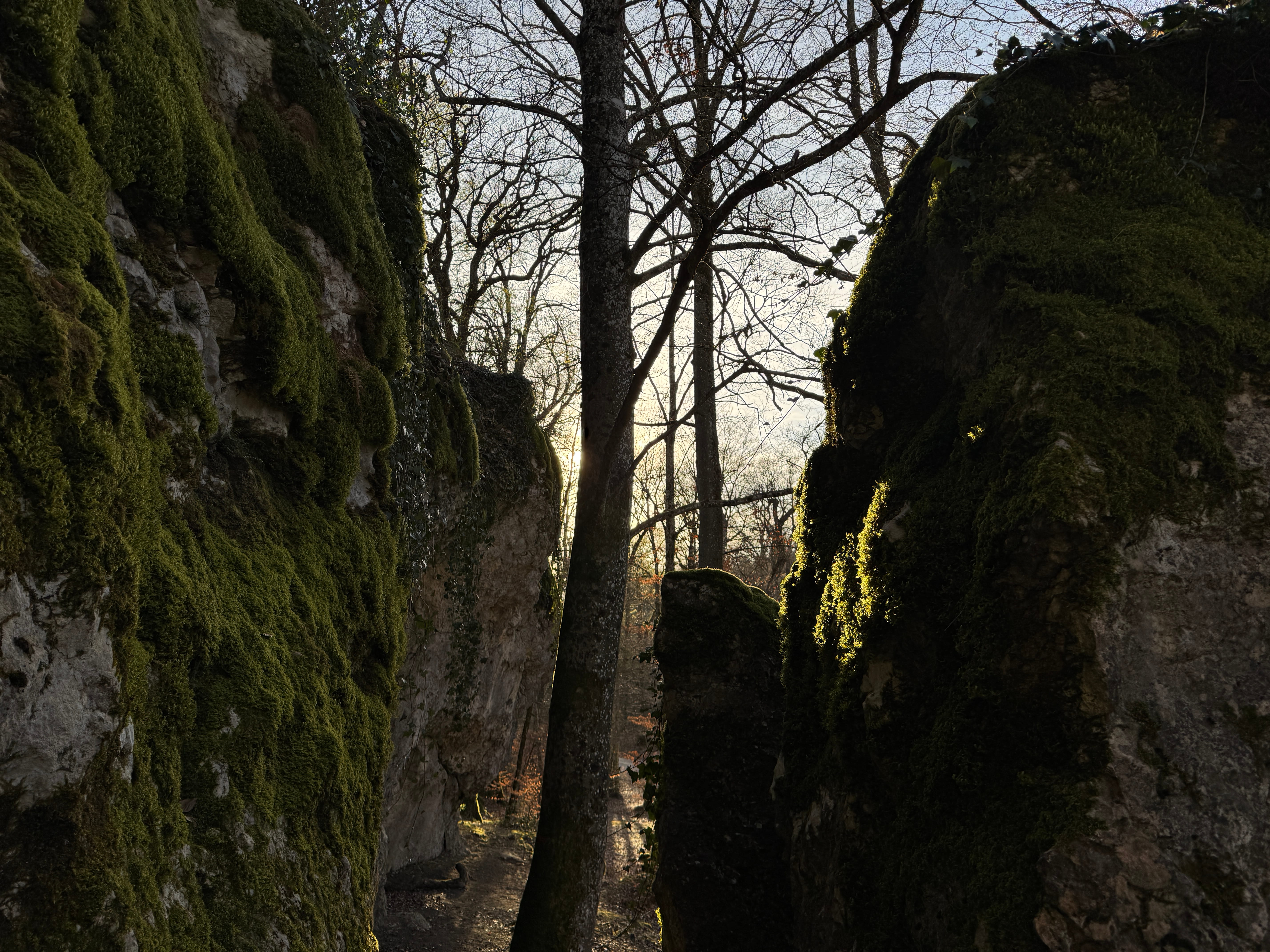 Vue aerienne des montagnes