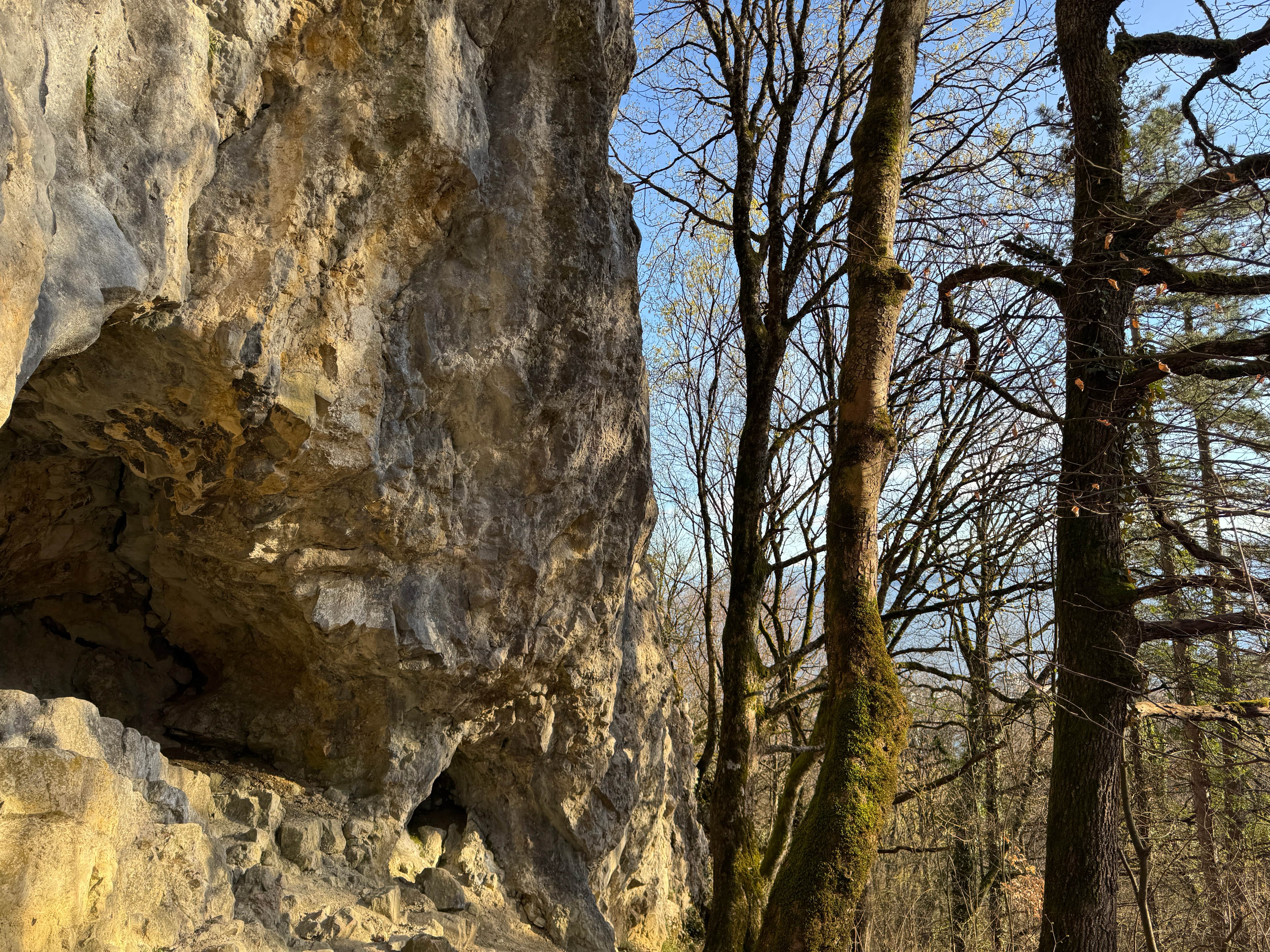 Vue aerienne des montagnes
