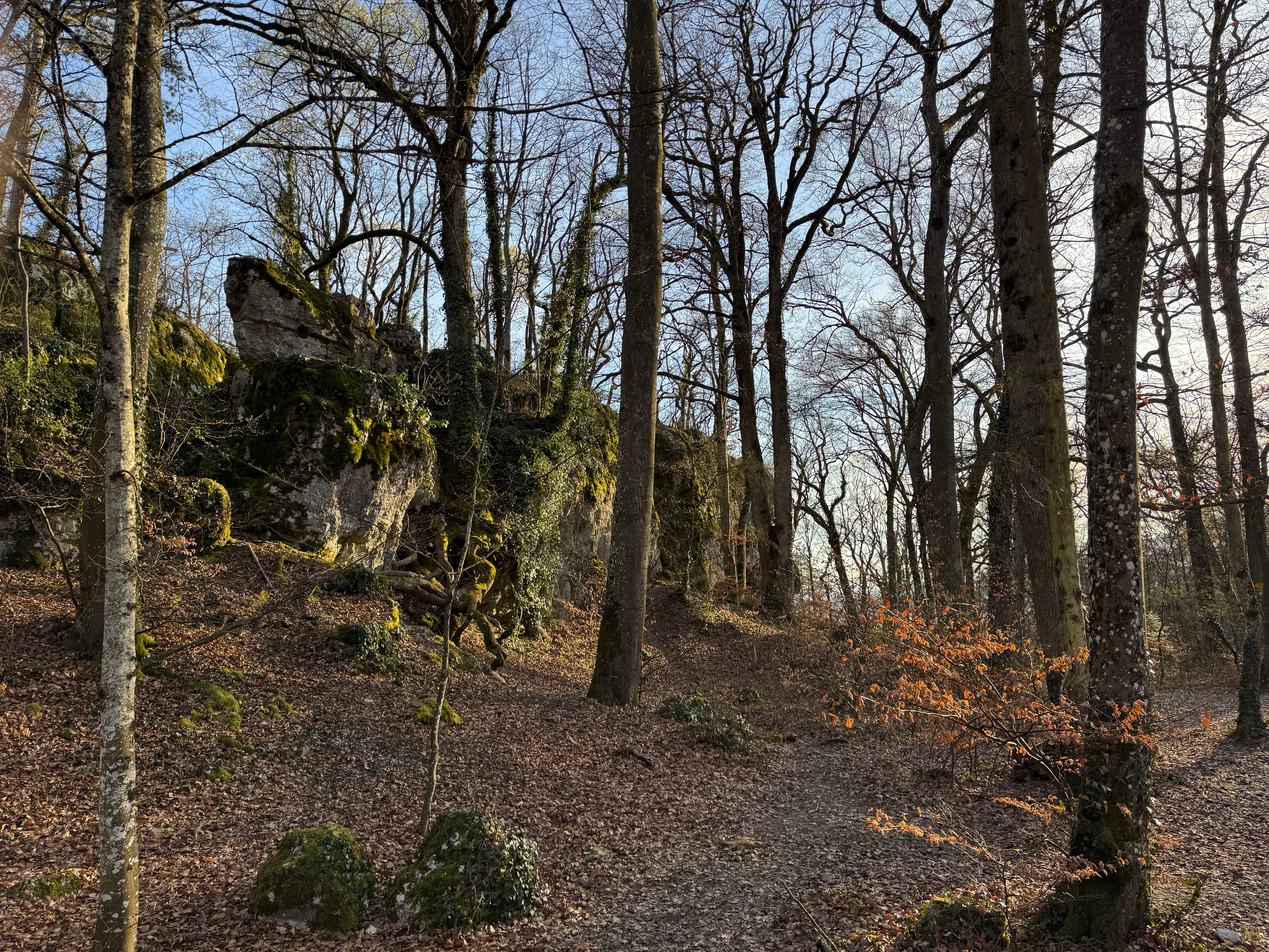 Vue aerienne des montagnes