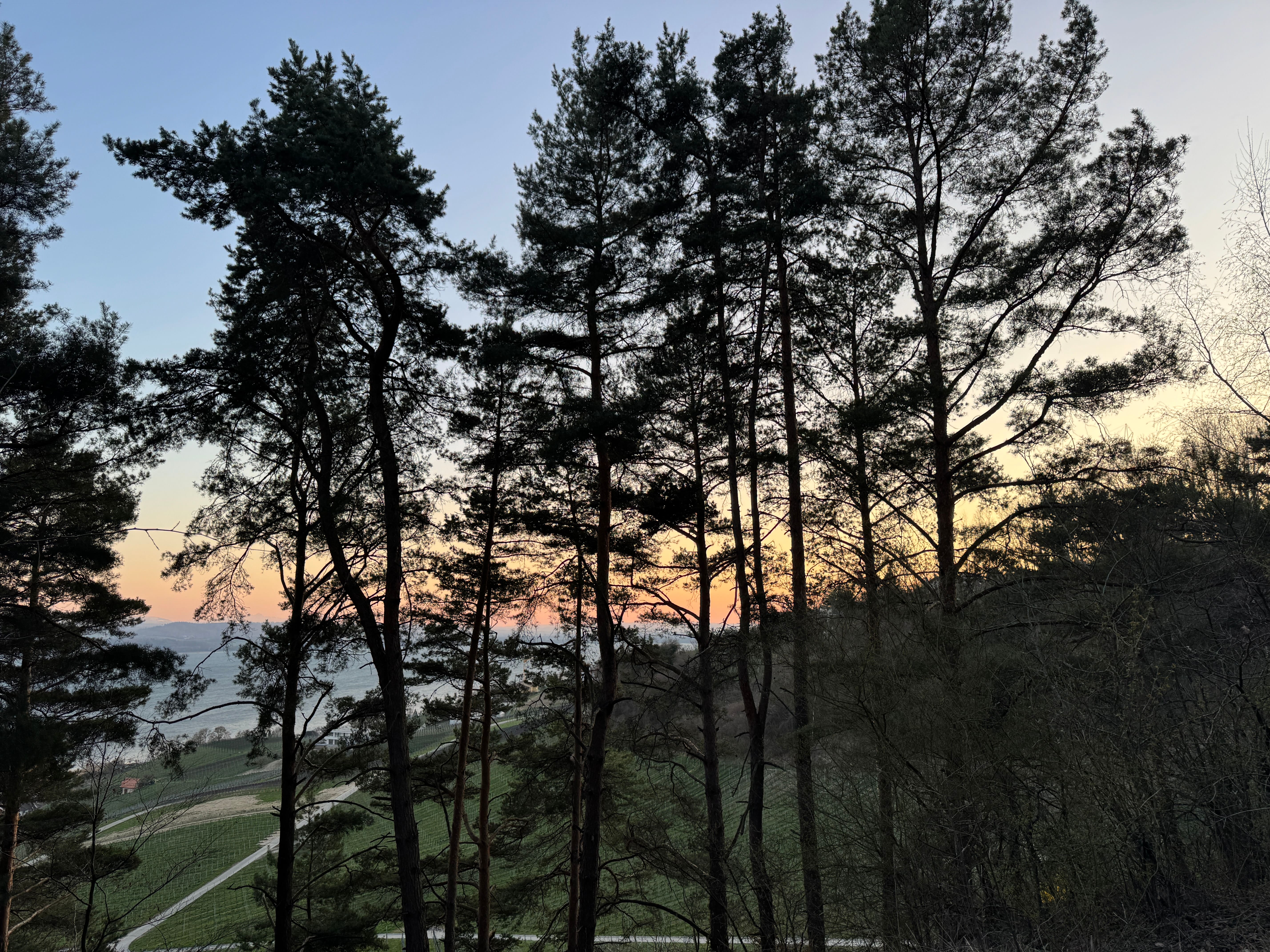 Vue aerienne des montagnes