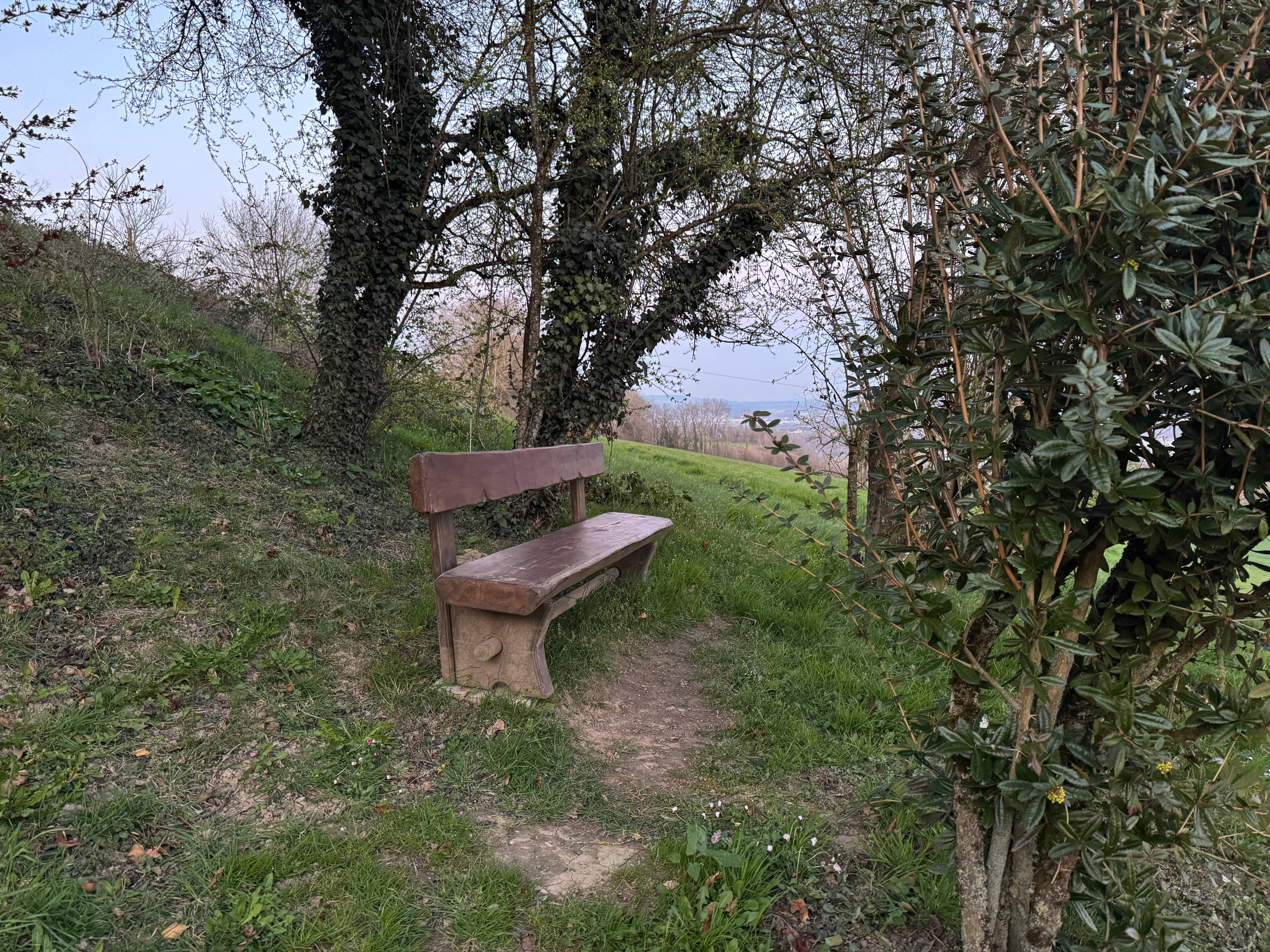 Vue aerienne des montagnes