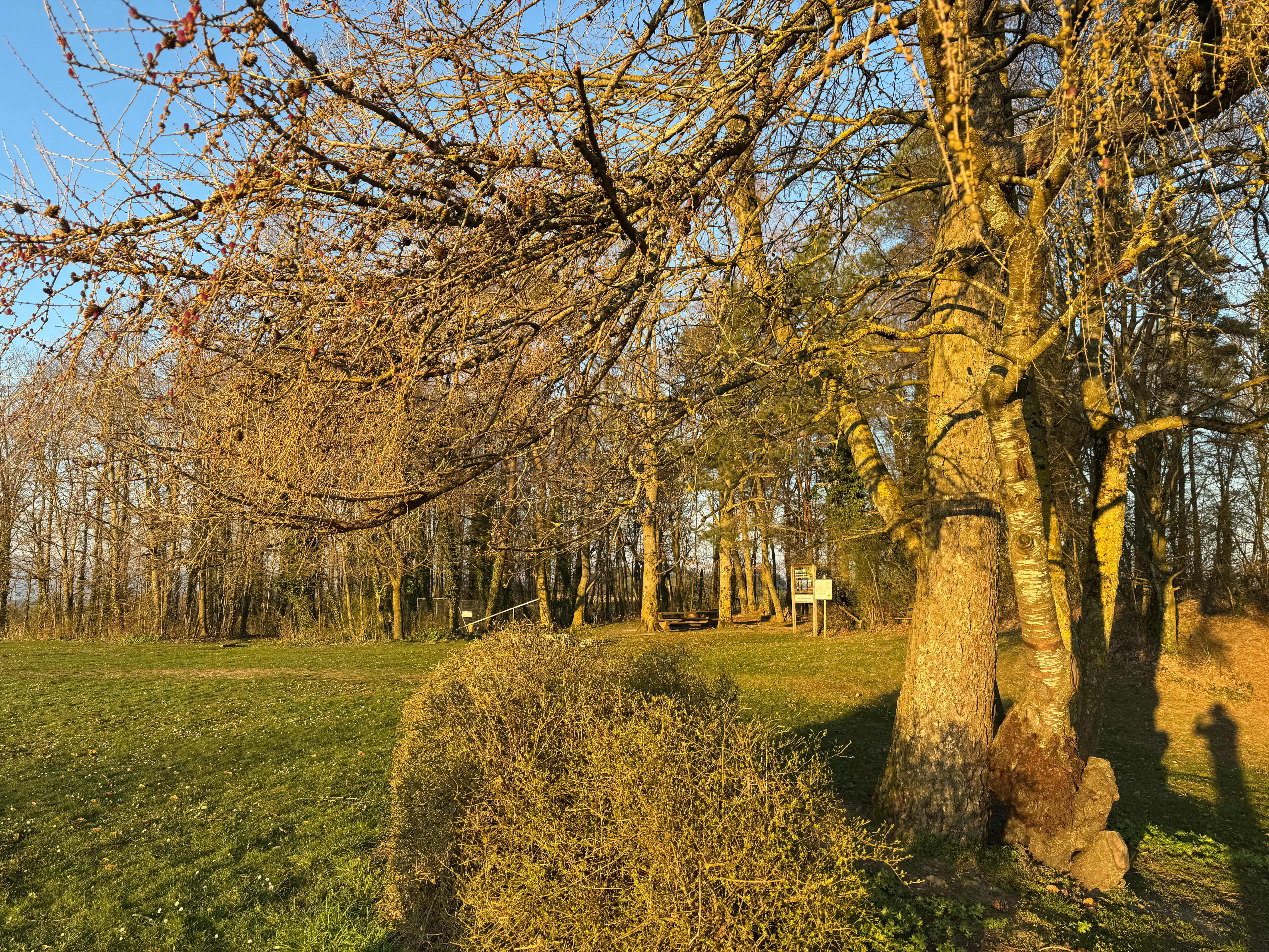 Vue aerienne des montagnes