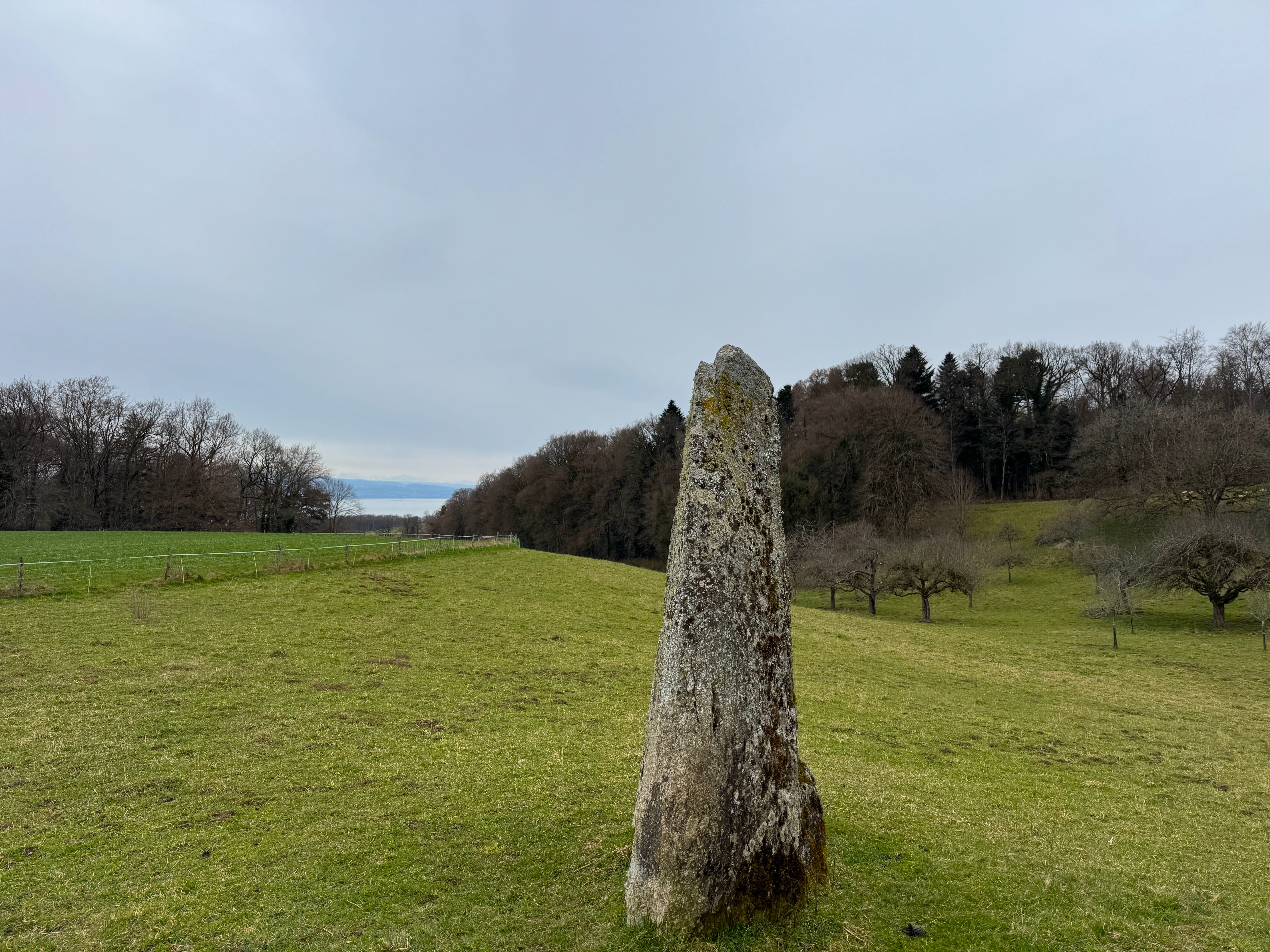 Vue aerienne des montagnes