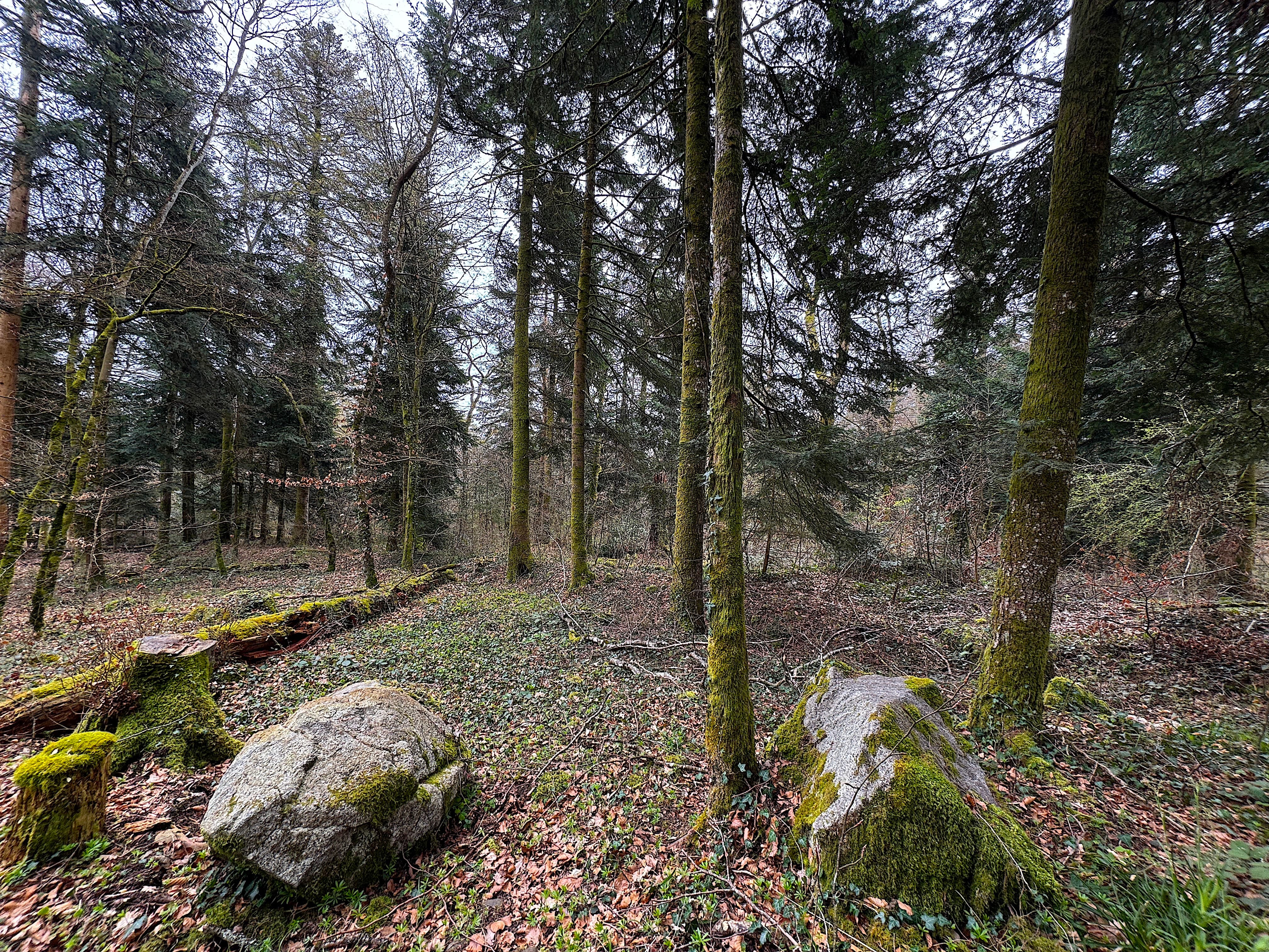 Vue aerienne des montagnes