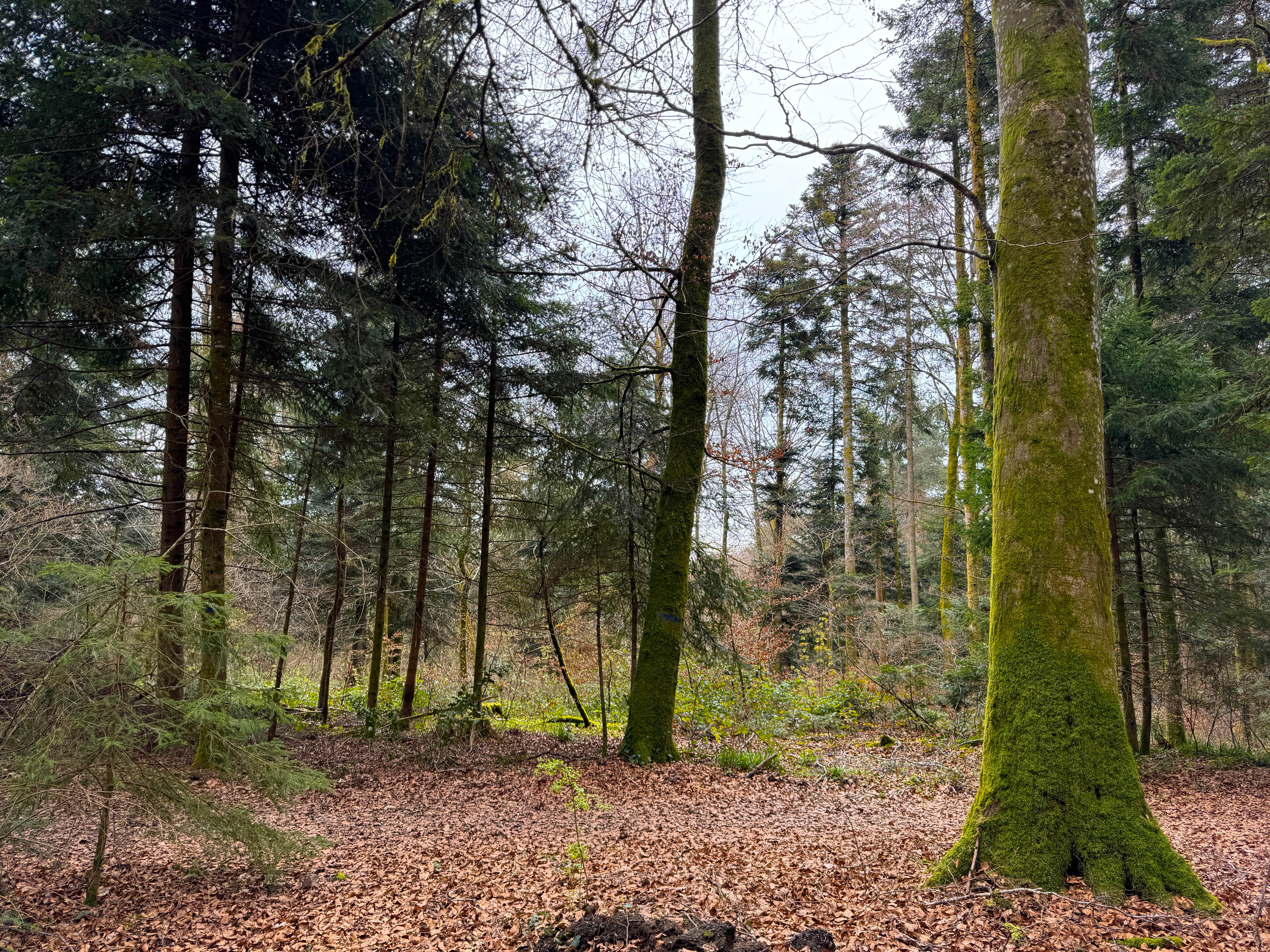 Vue aerienne des montagnes