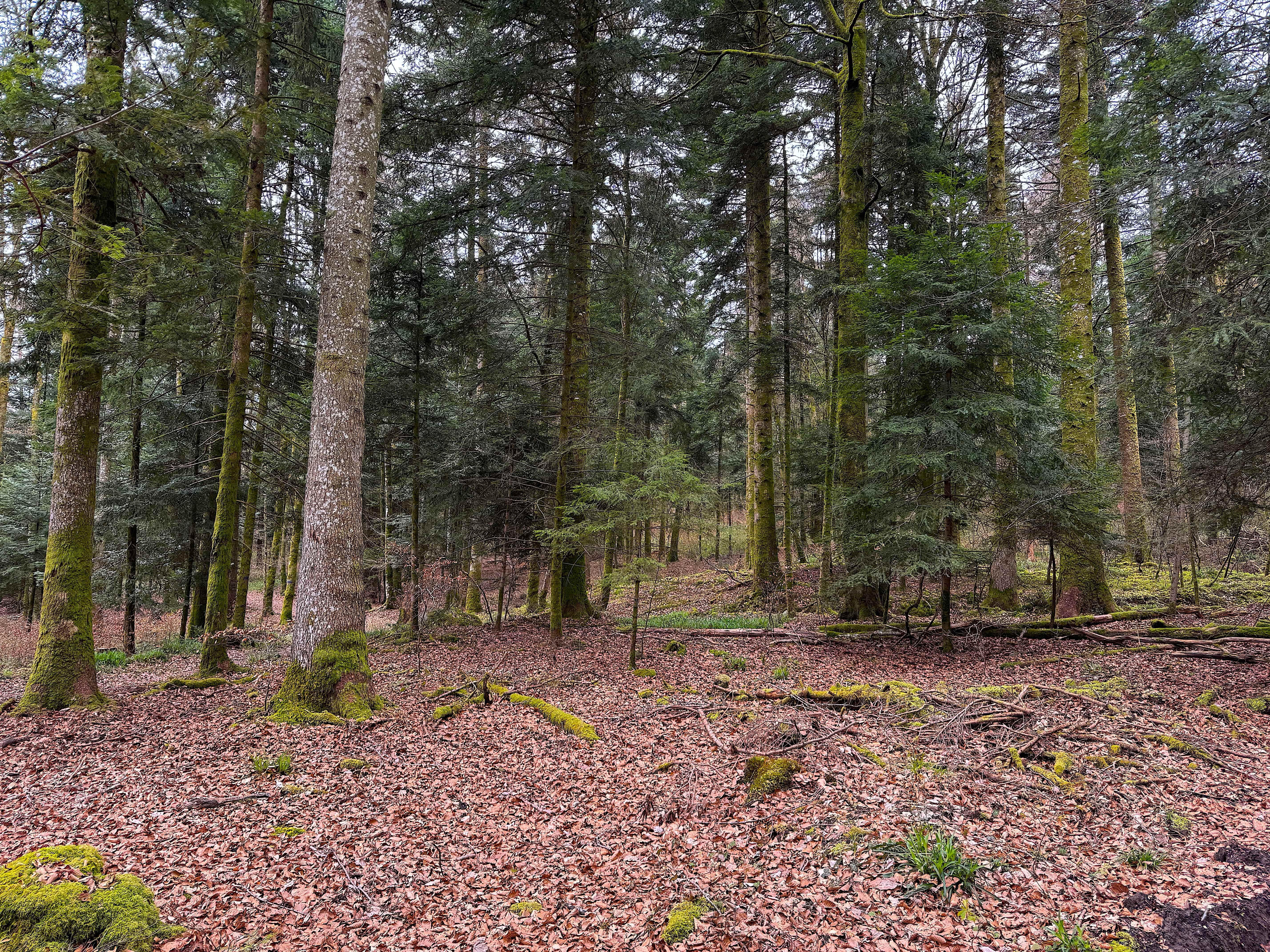 Vue aerienne des montagnes