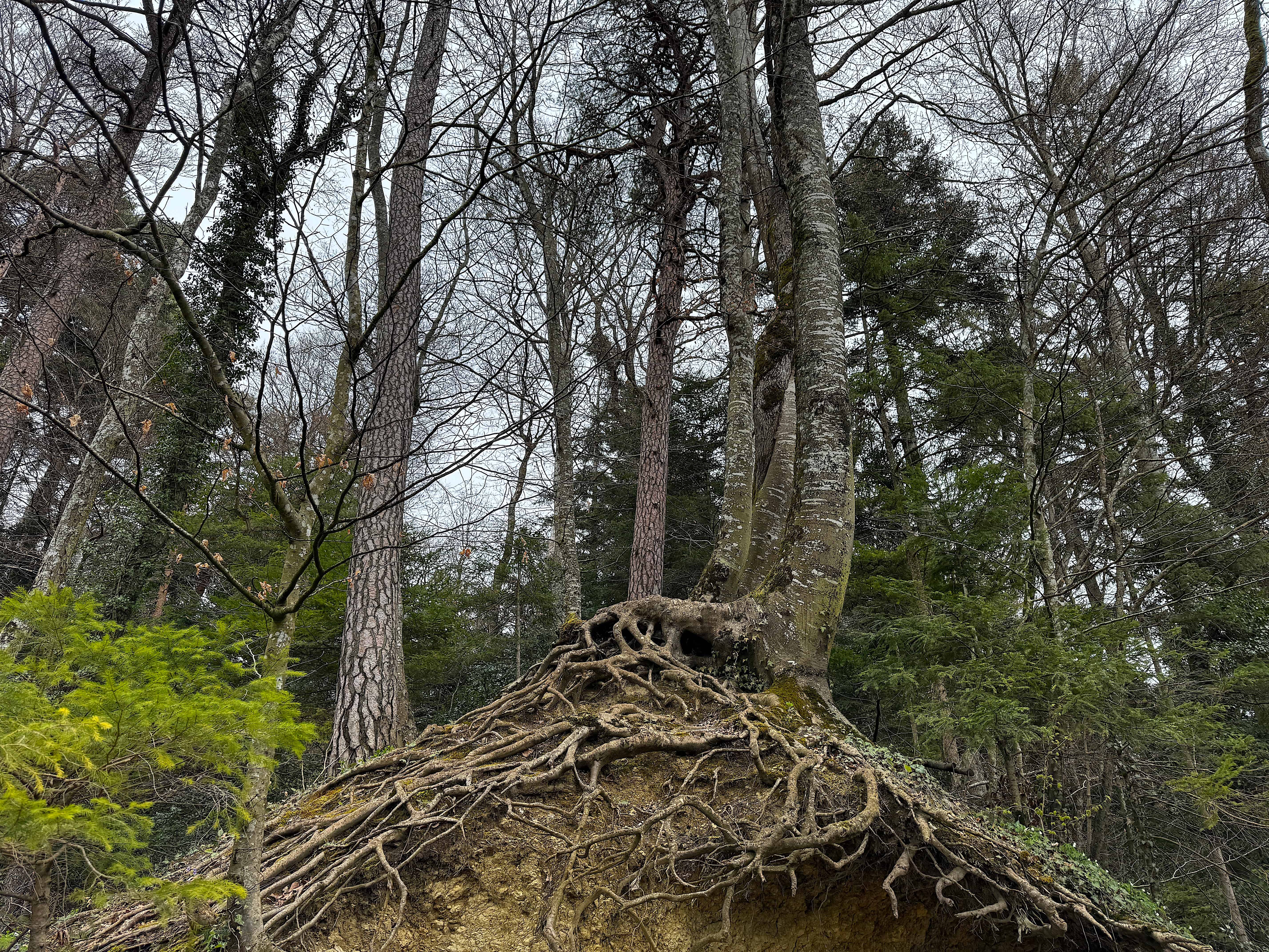 Vue aerienne des montagnes
