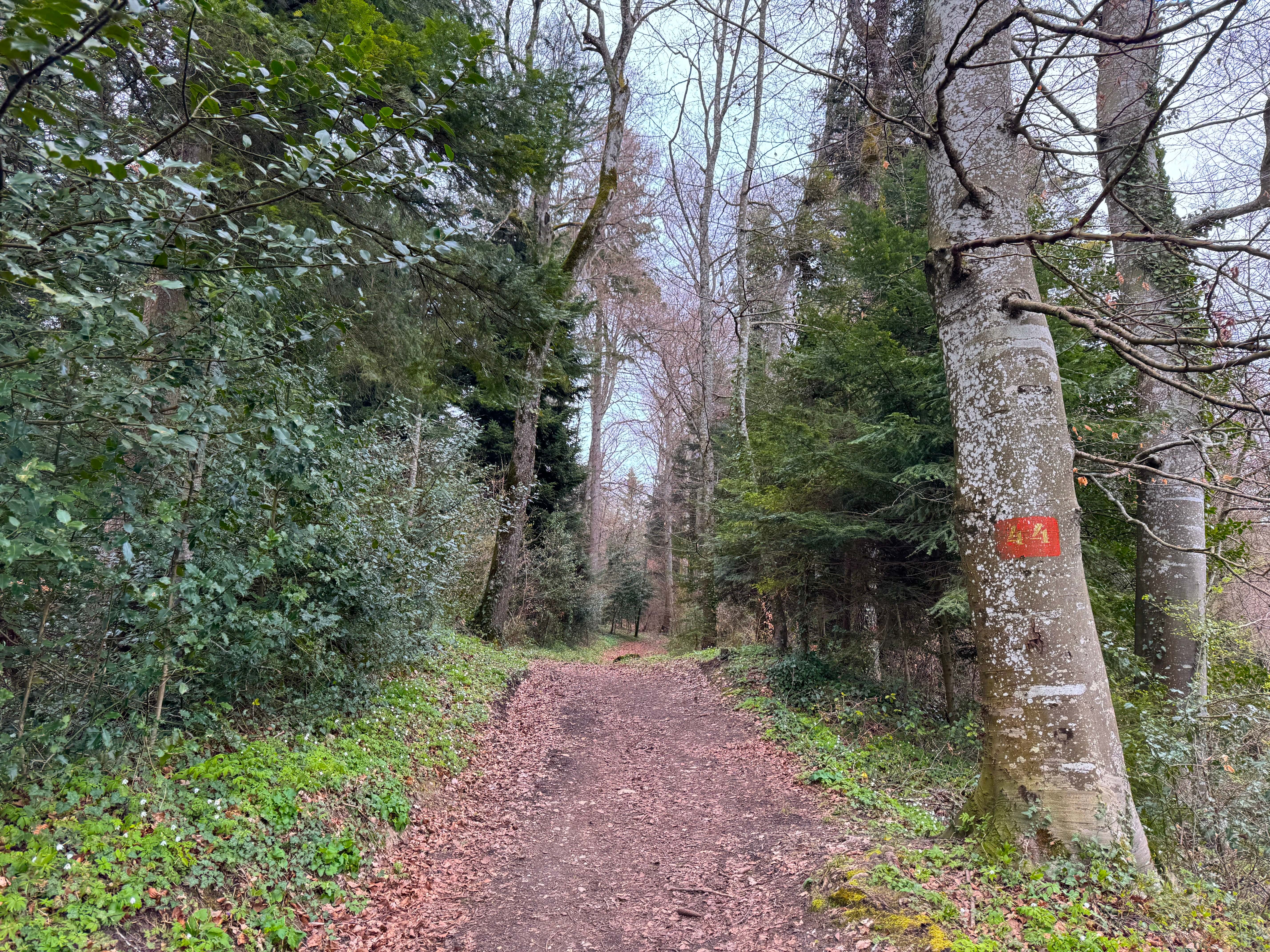 Vue aerienne des montagnes