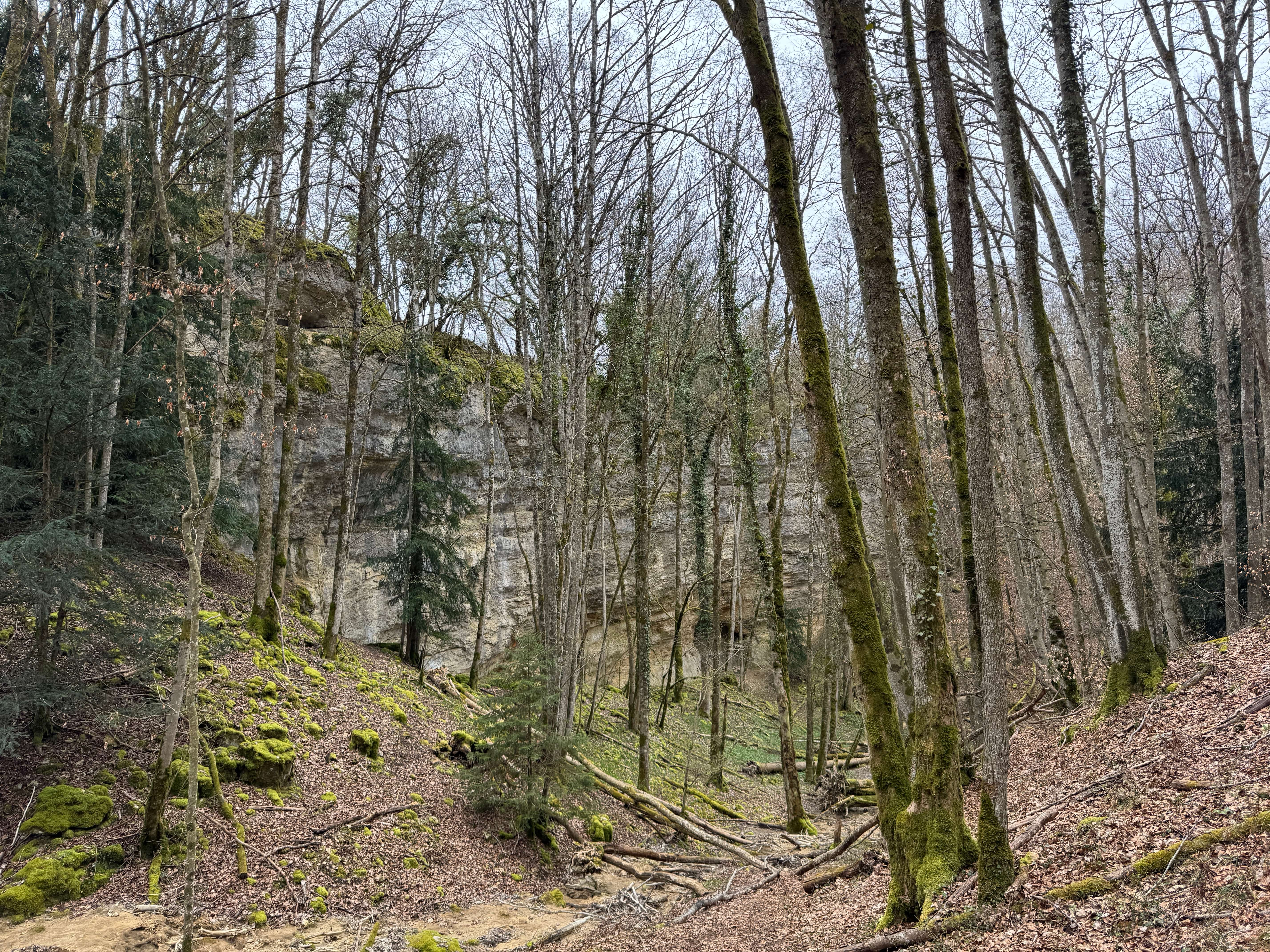 Vue aerienne des montagnes