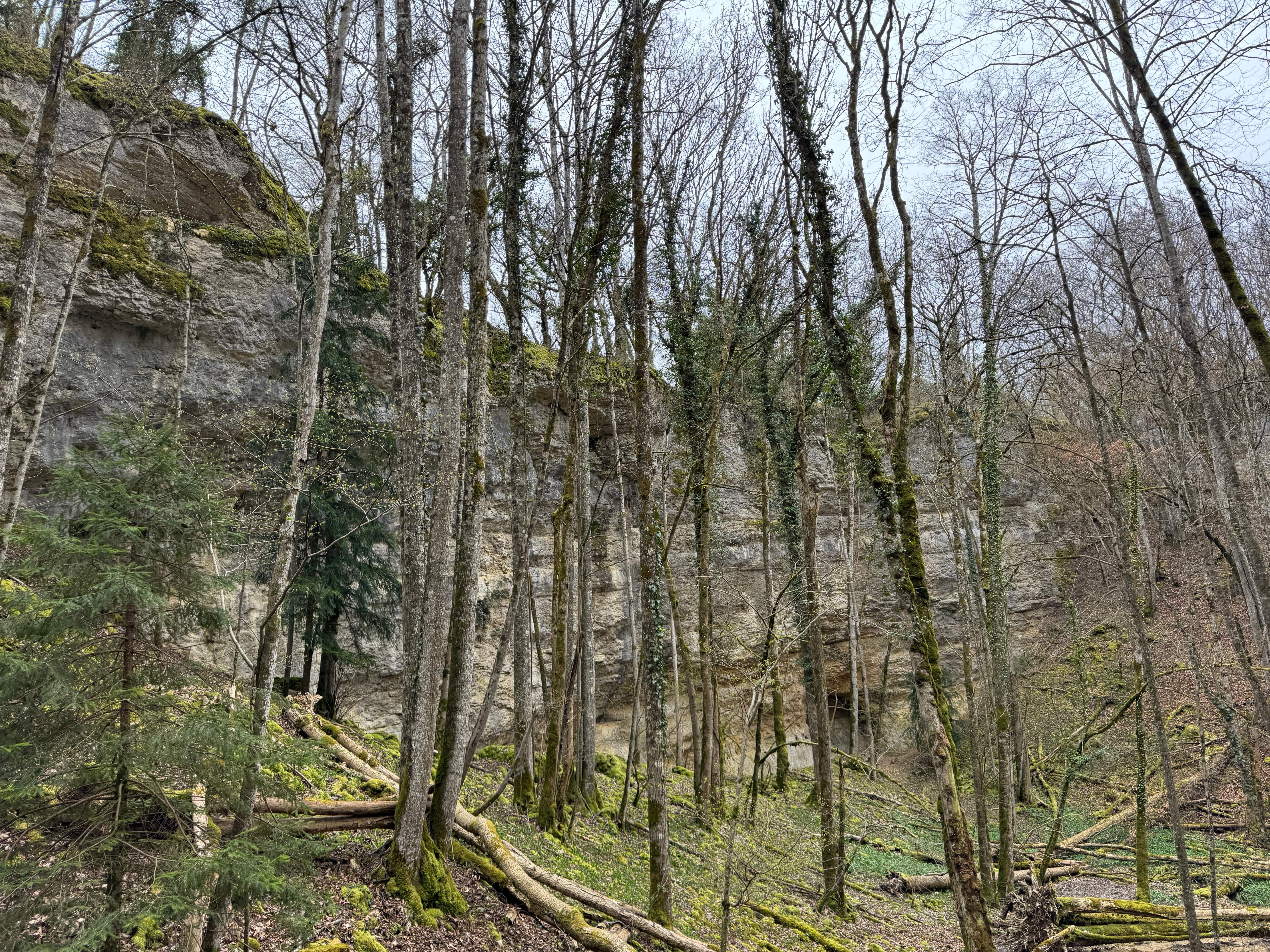 Vue aerienne des montagnes