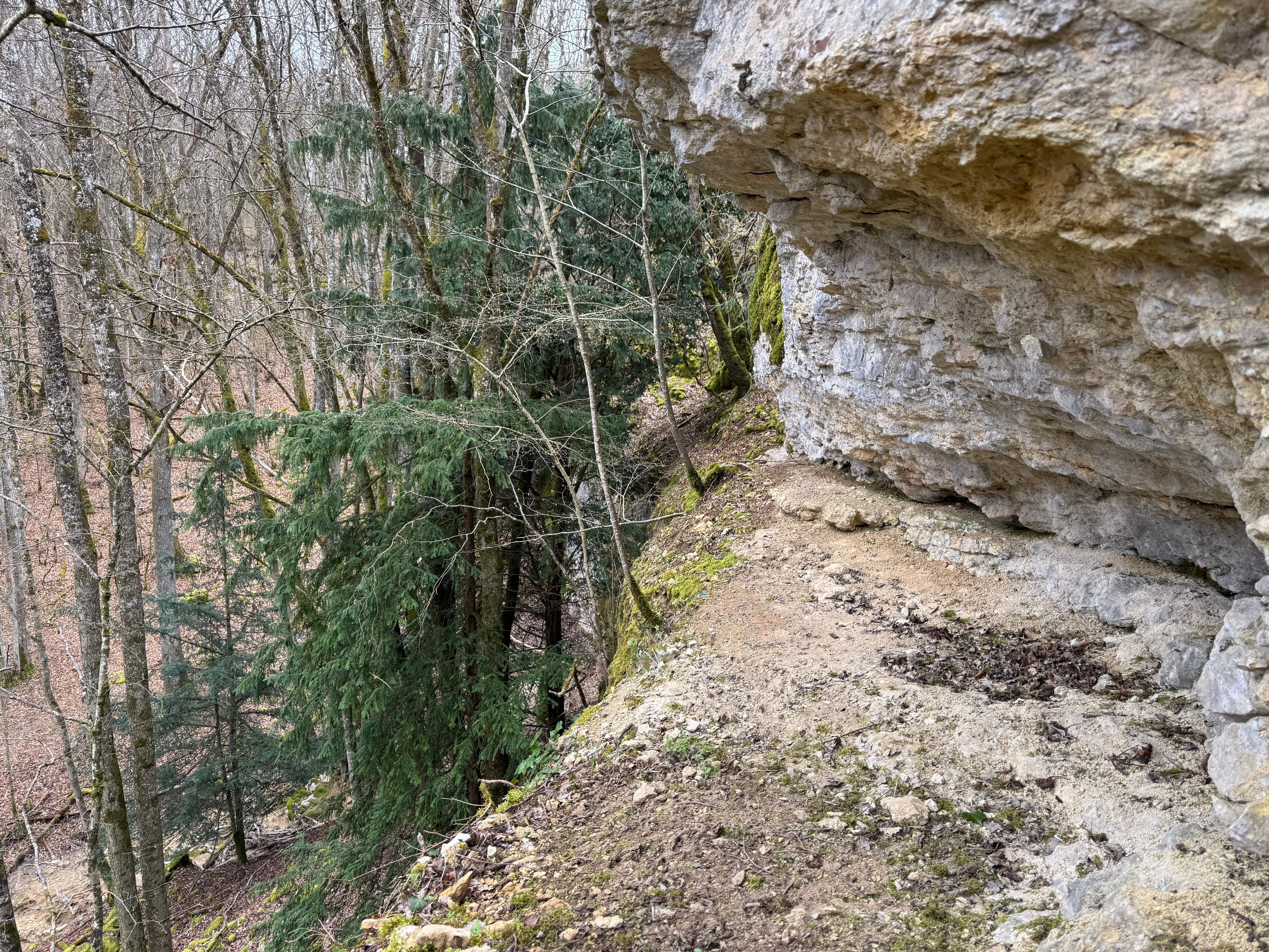 Vue aerienne des montagnes
