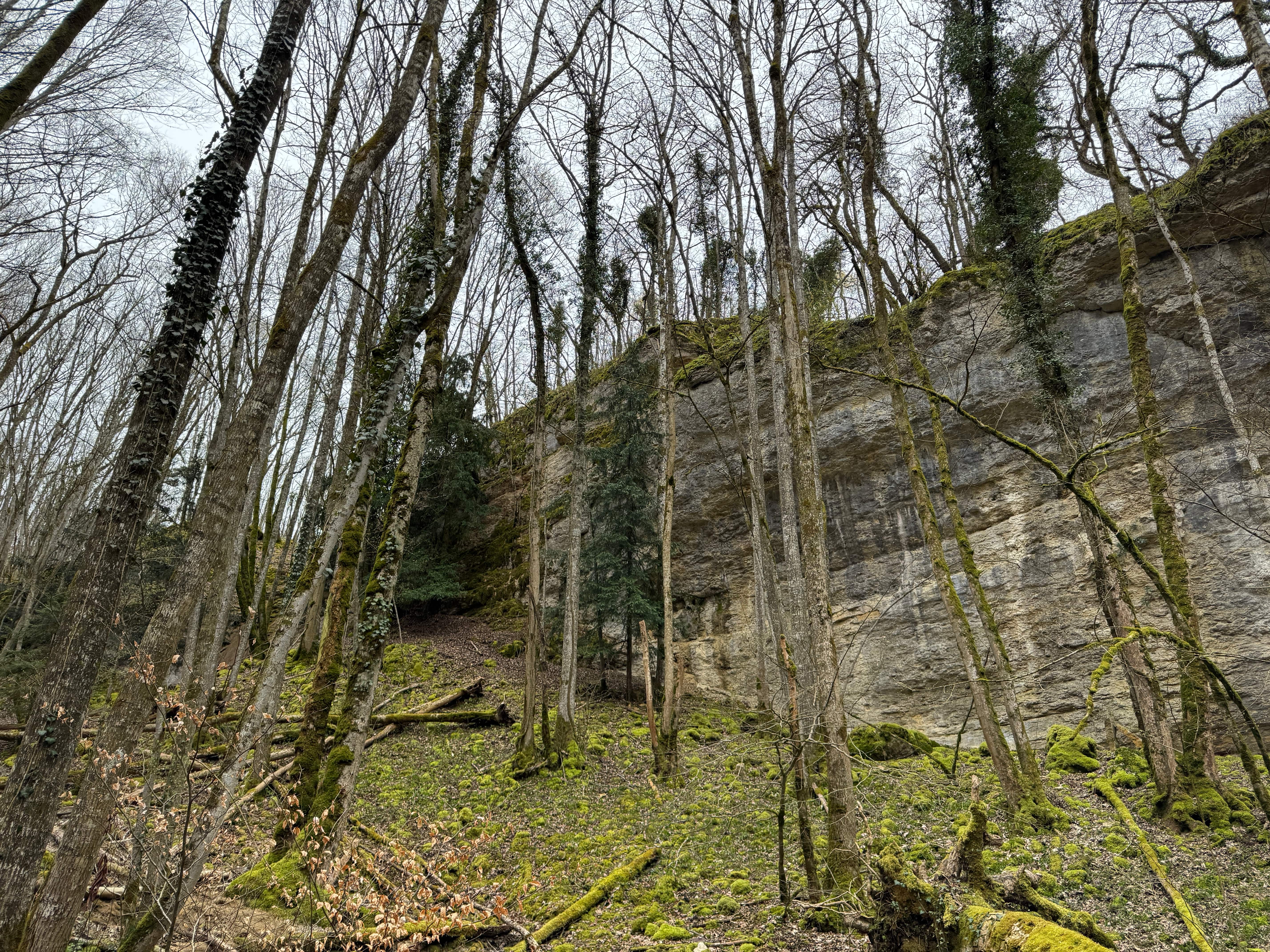Vue aerienne des montagnes