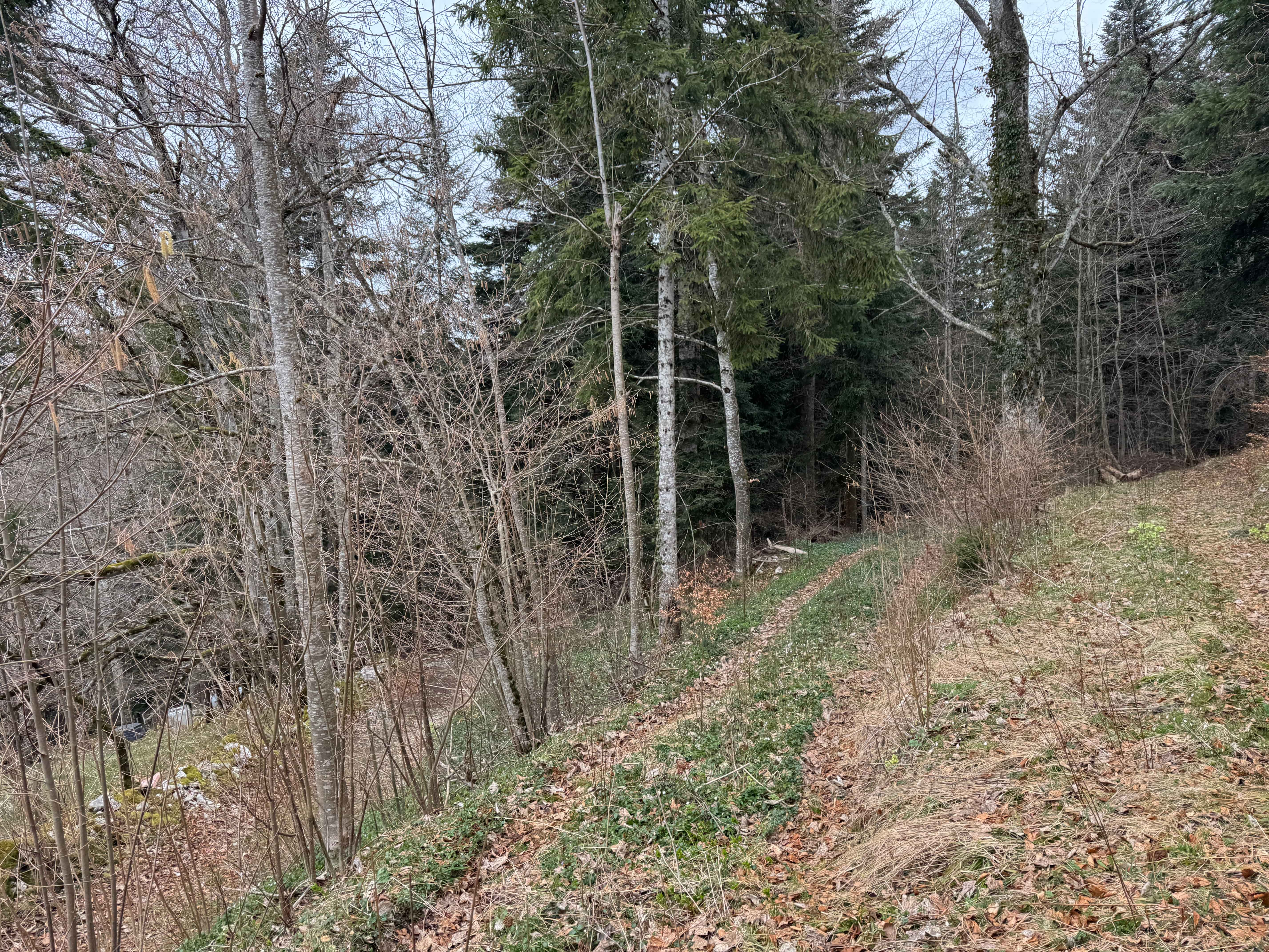 Vue aerienne des montagnes