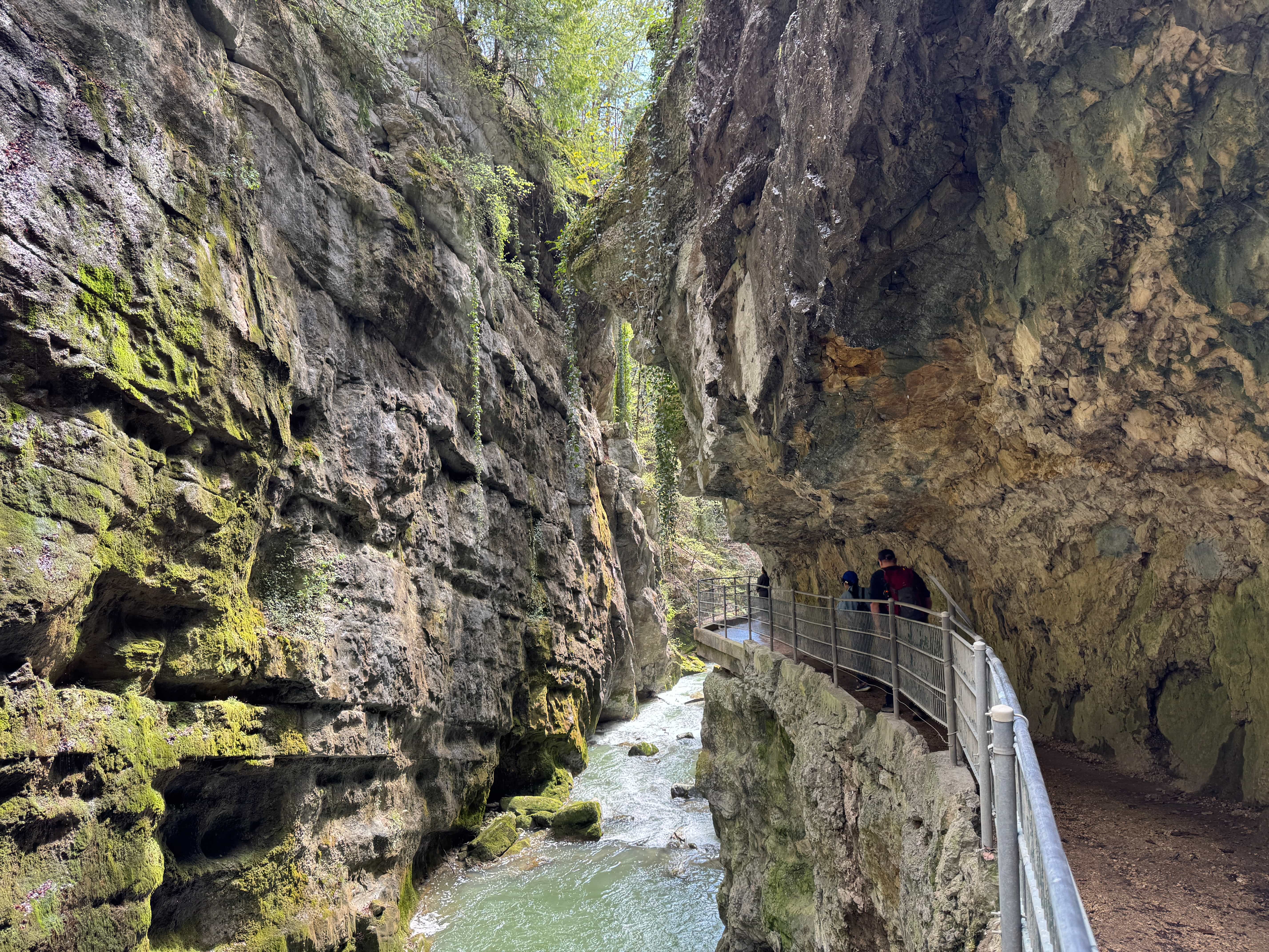 Vue aerienne des montagnes