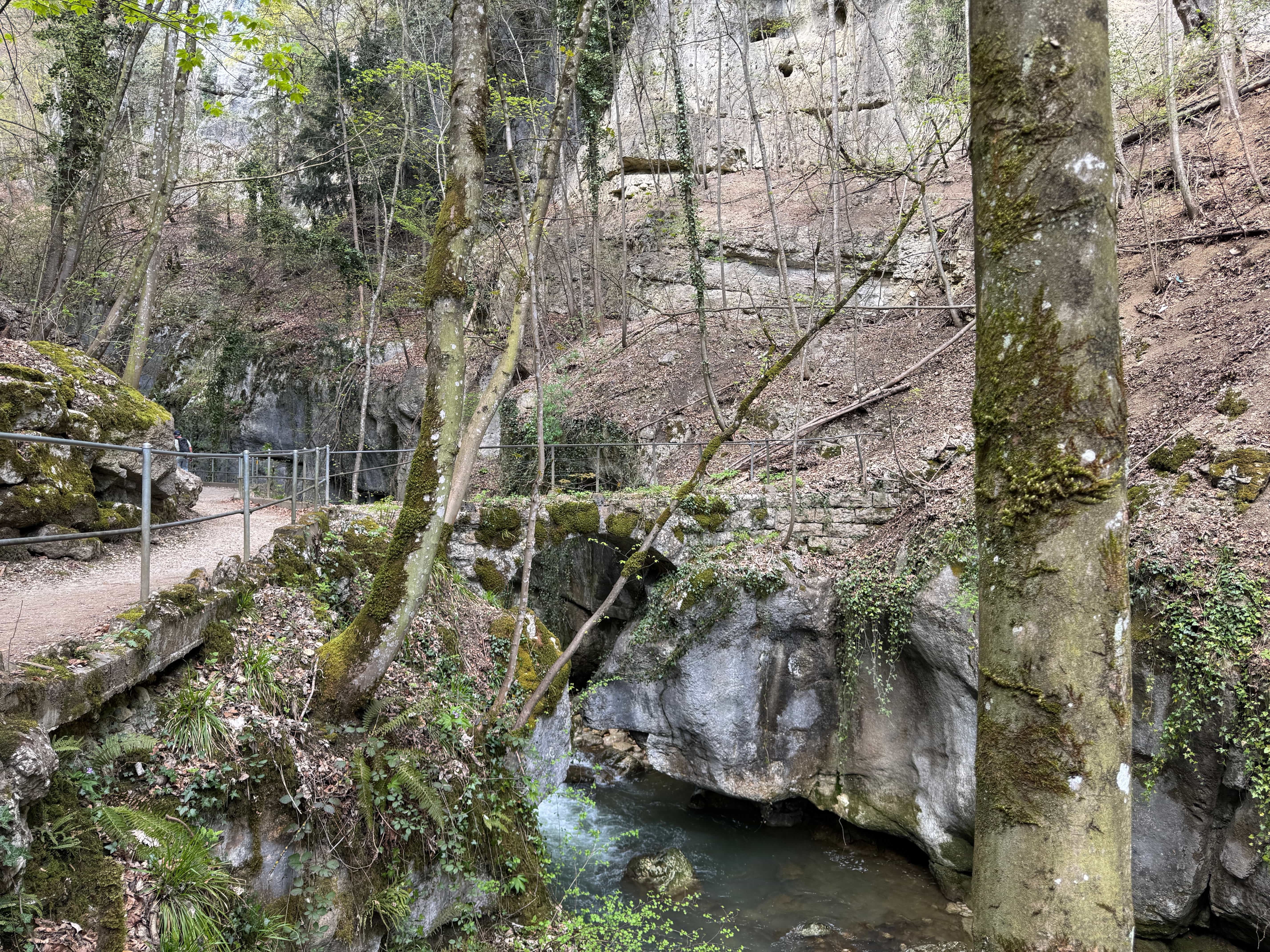 Vue aerienne des montagnes