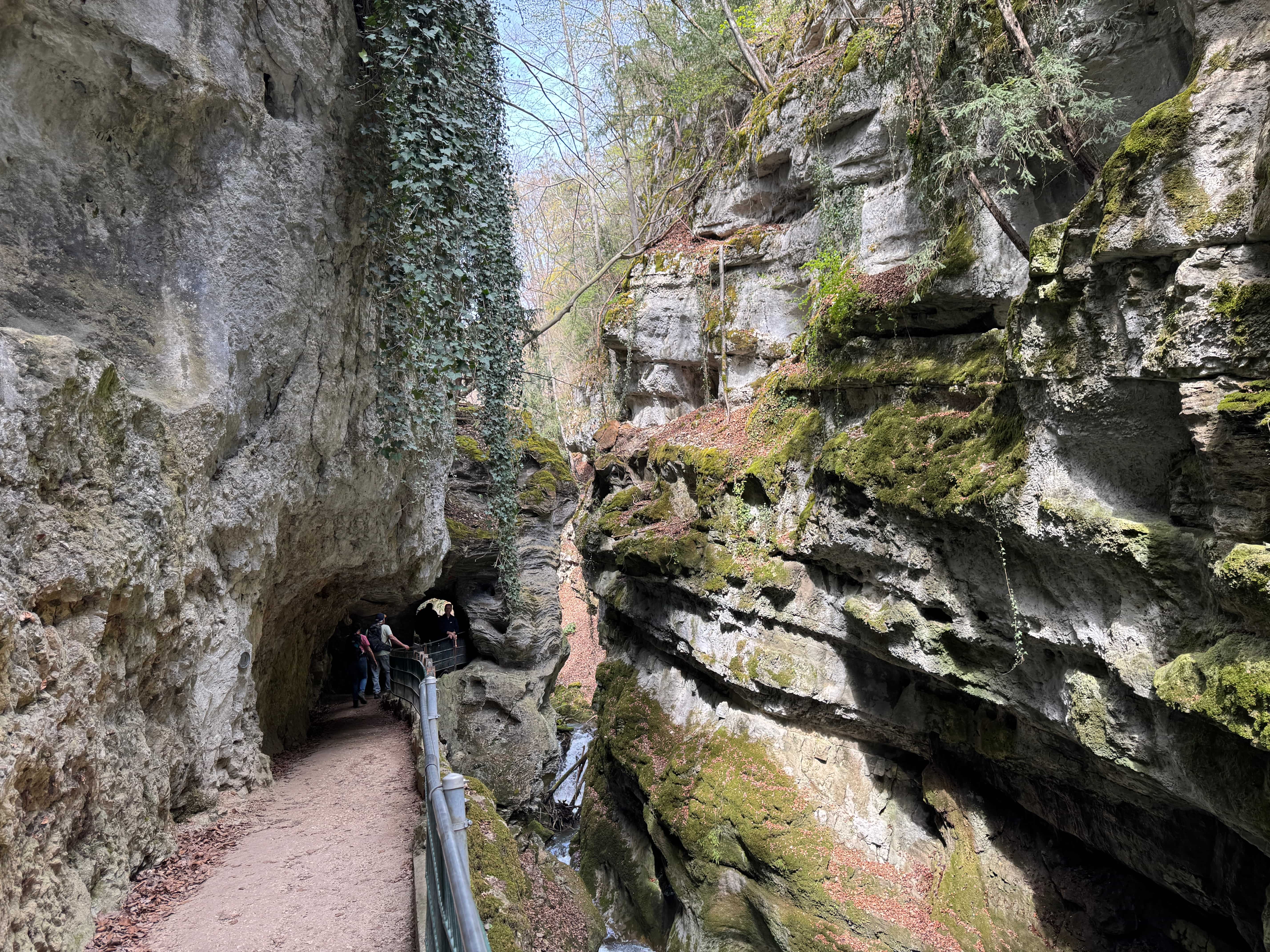 Vue aerienne des montagnes