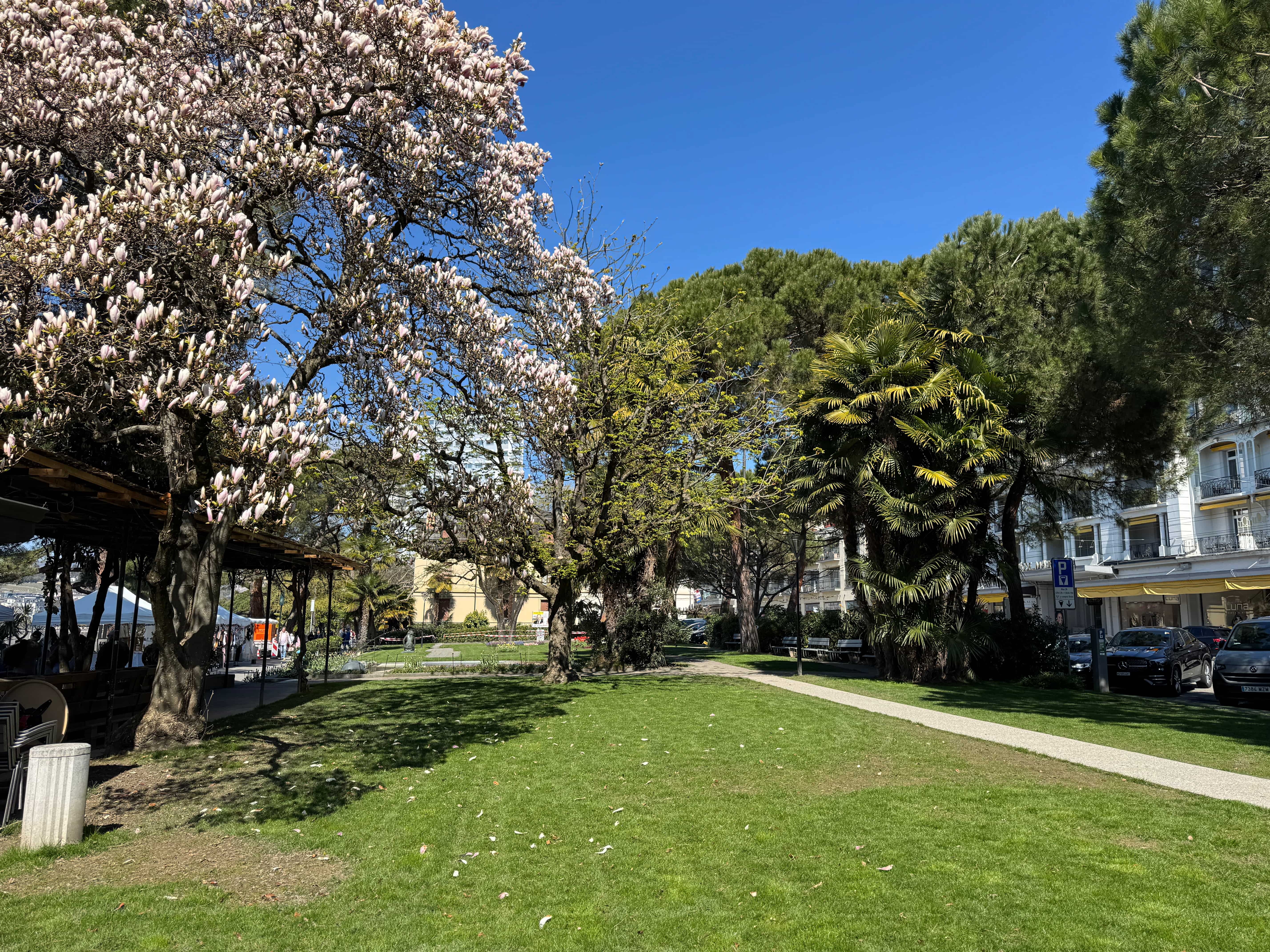 Vue aerienne des montagnes