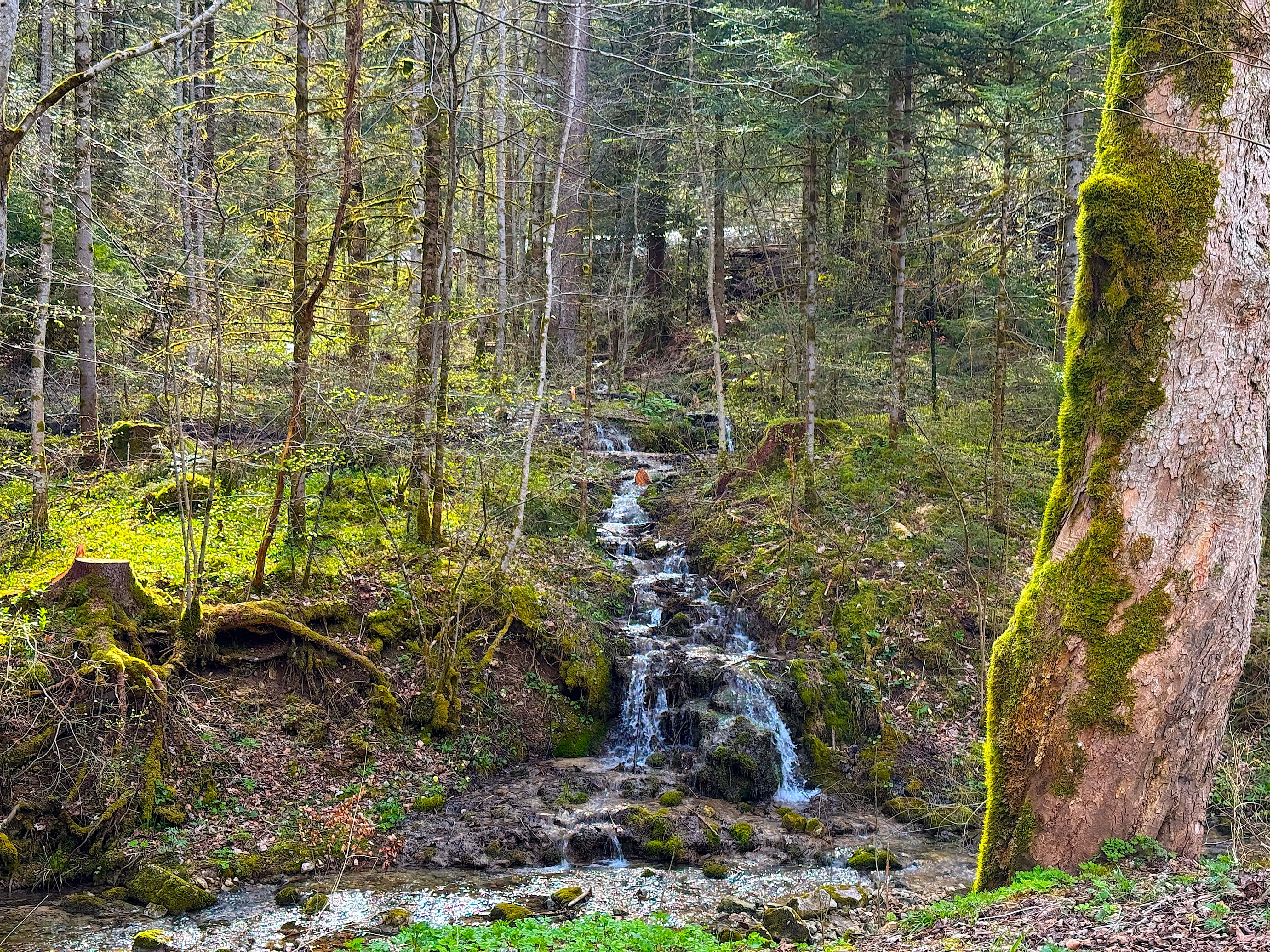 Vue aerienne des montagnes