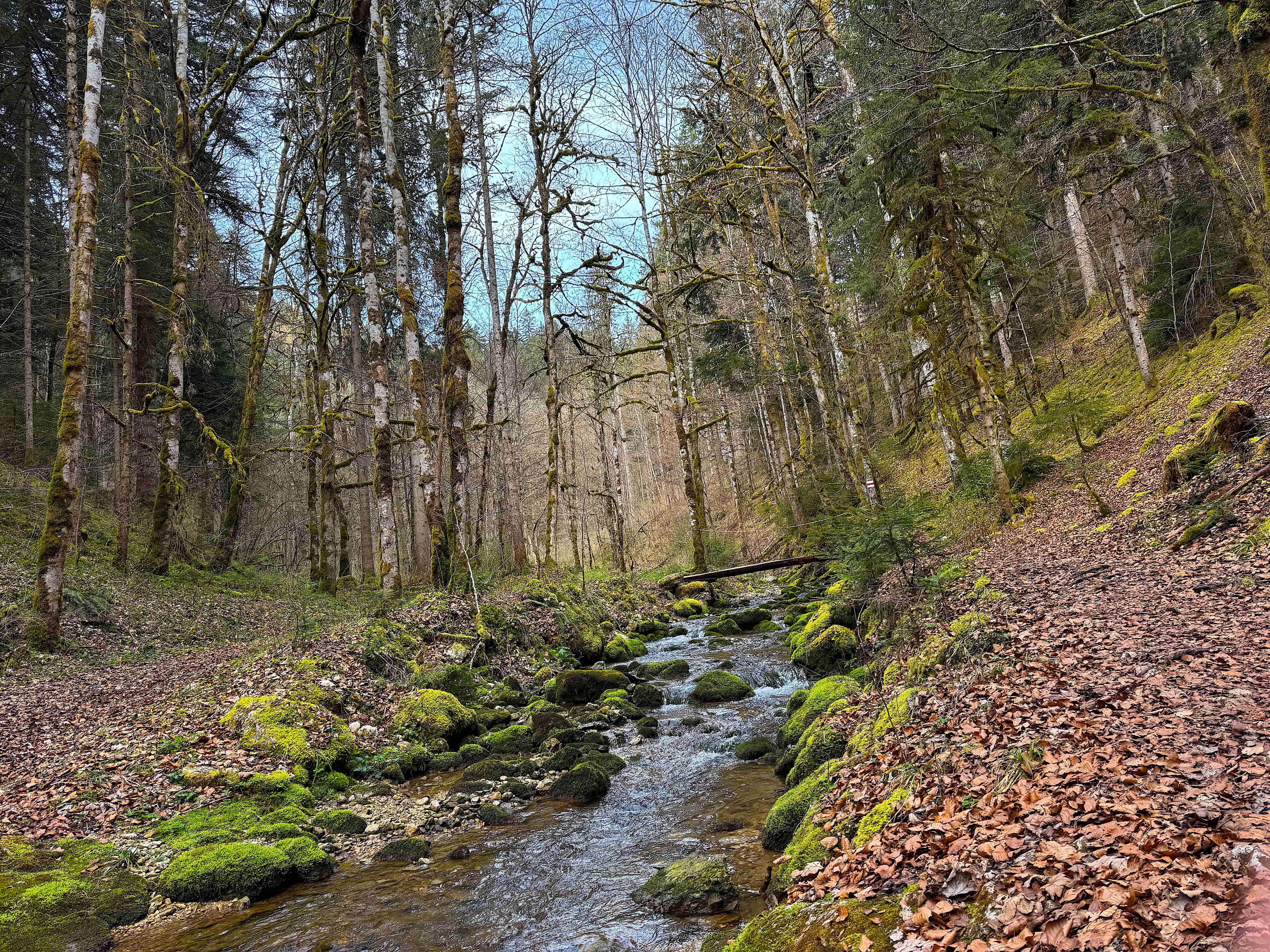 Vue aerienne des montagnes