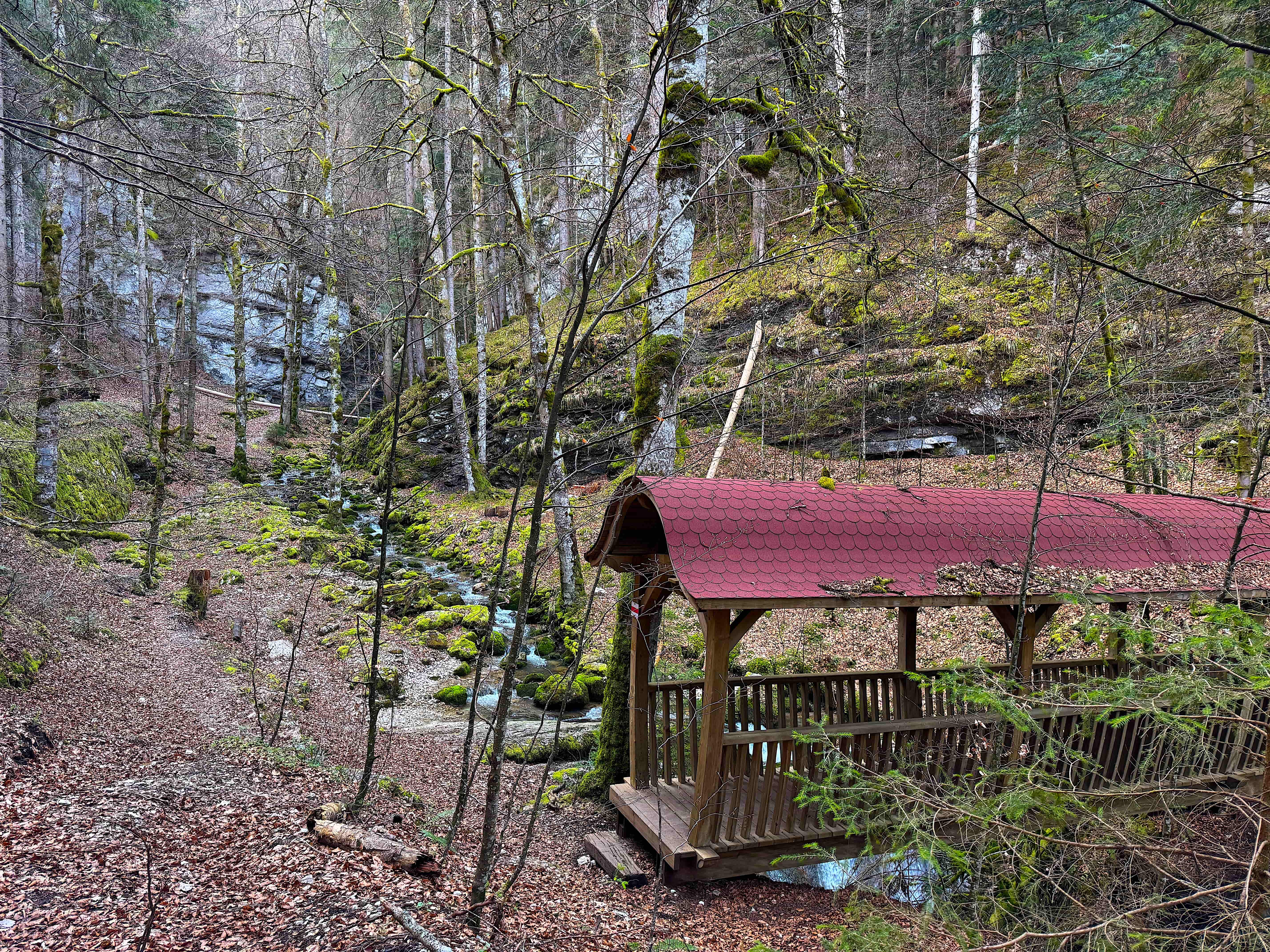 Vue aerienne des montagnes