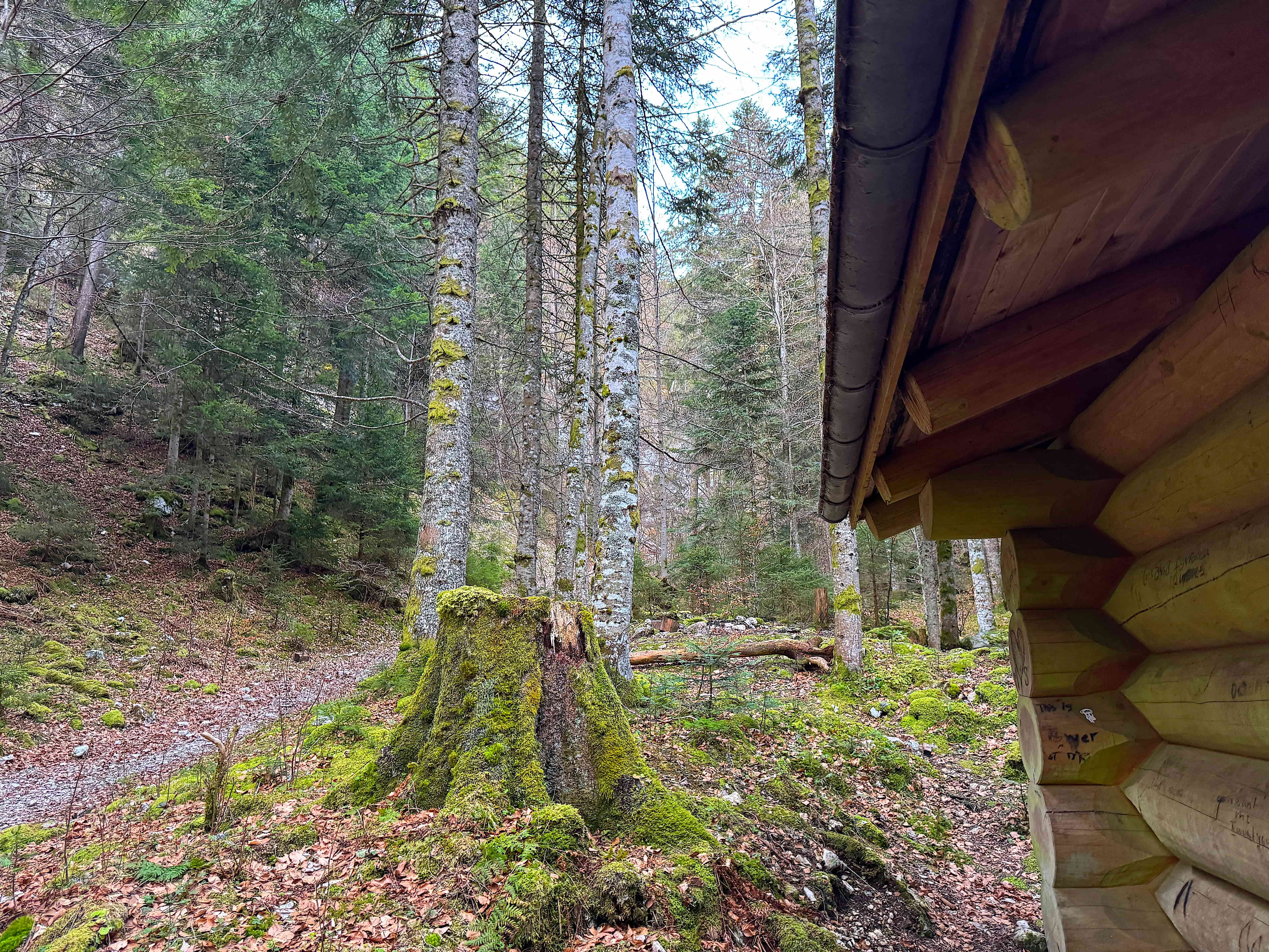 Vue aerienne des montagnes