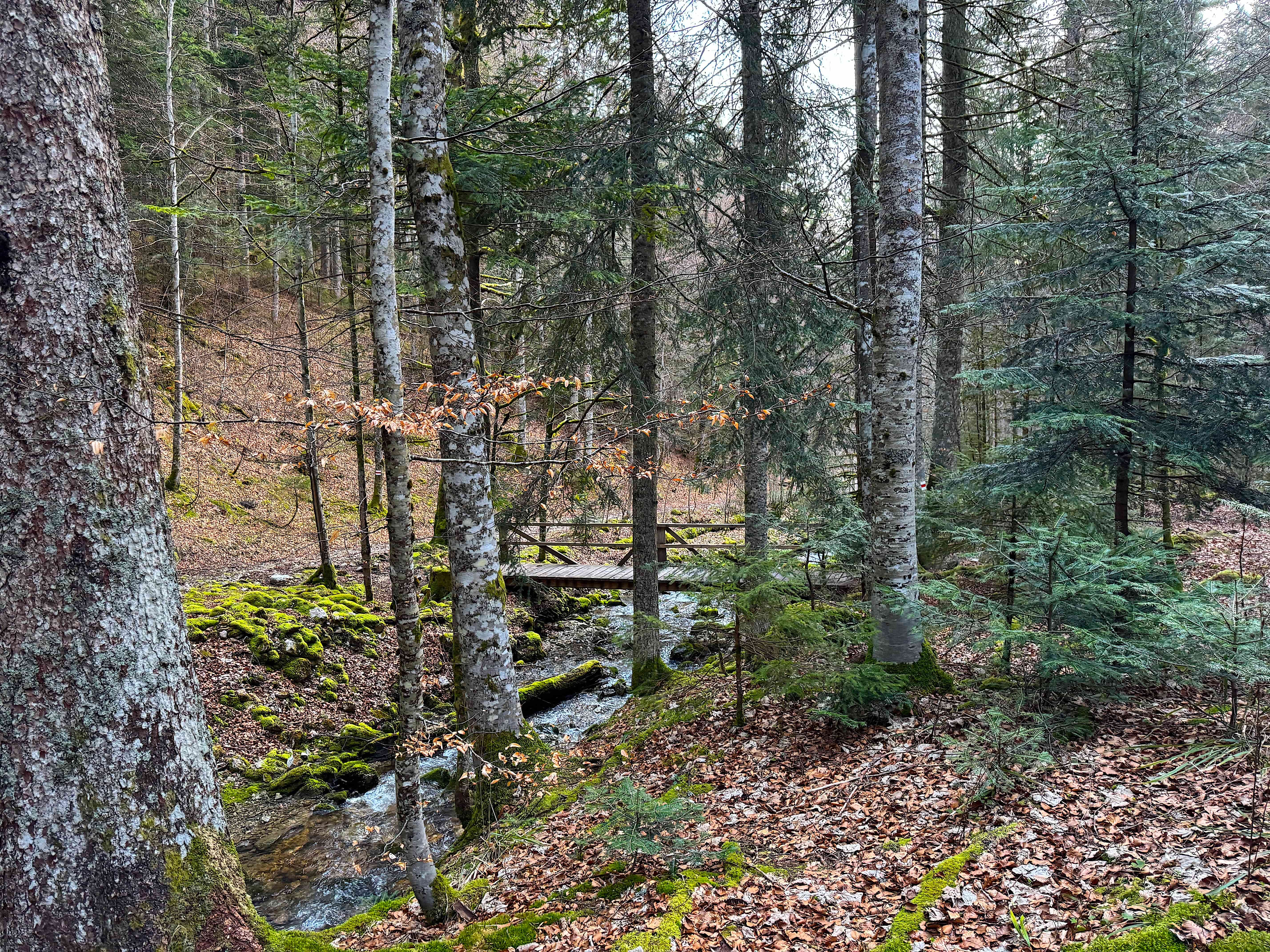 Vue aerienne des montagnes