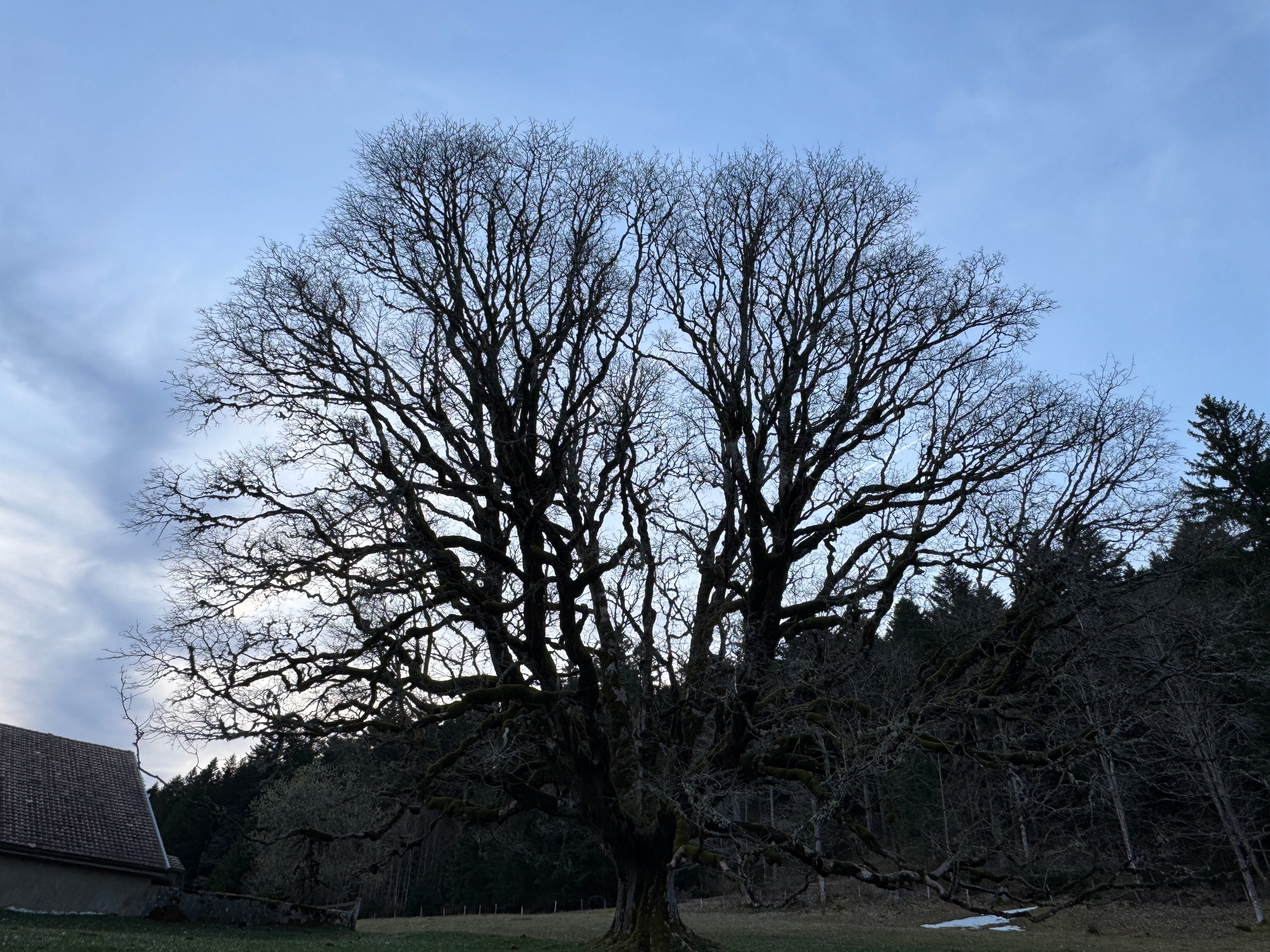 Vue aerienne des montagnes