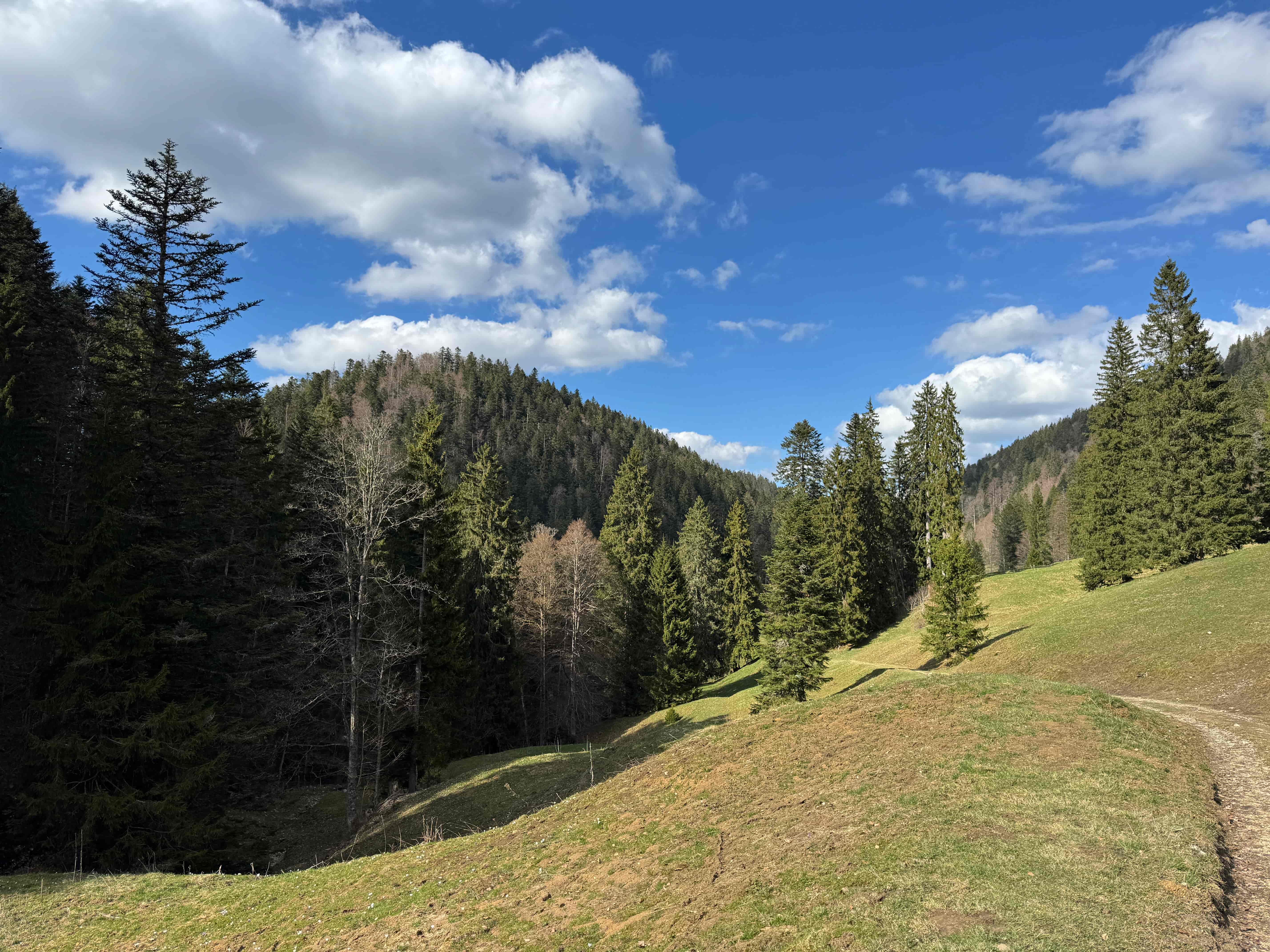Vue aerienne des montagnes