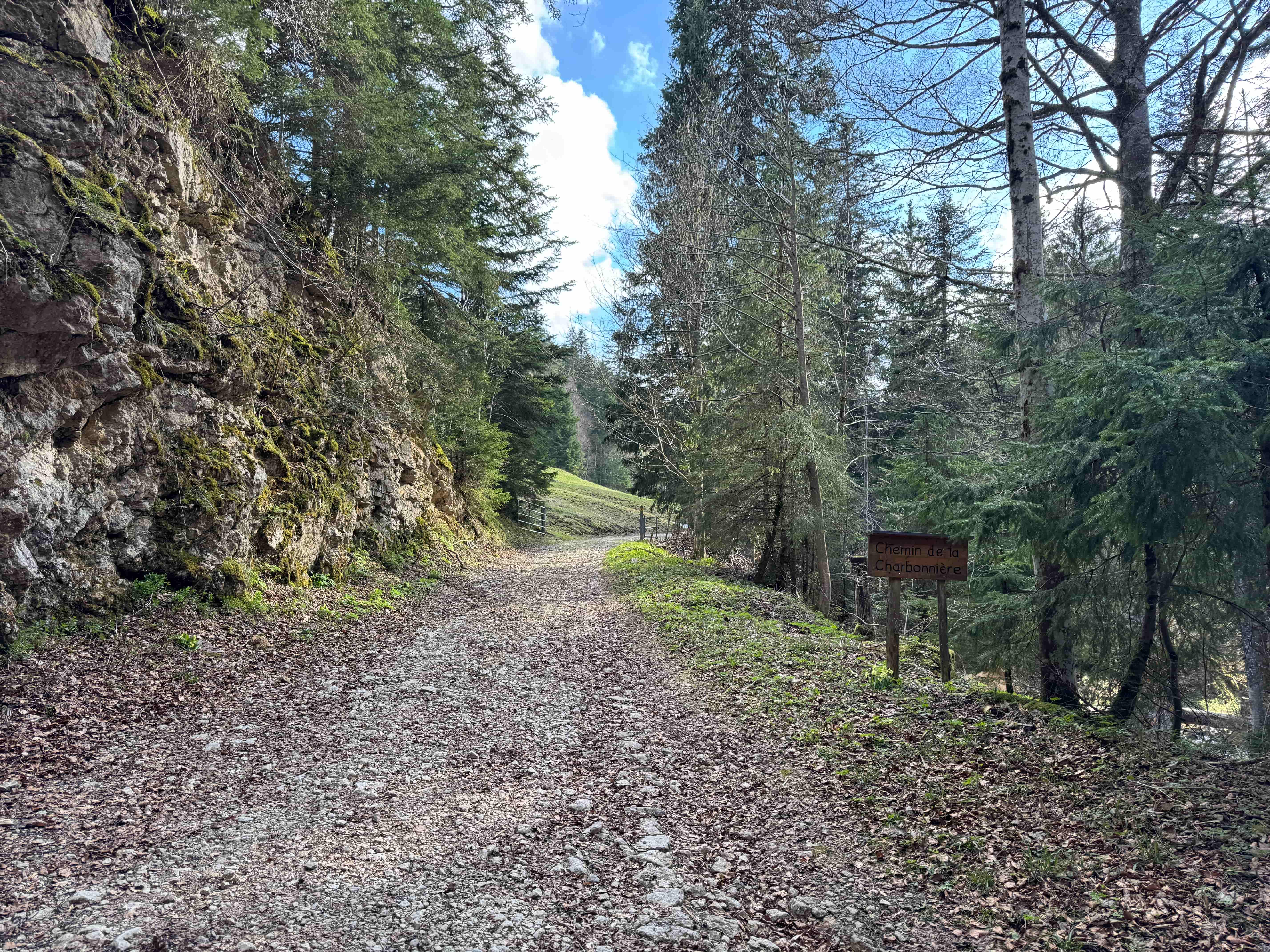 Vue aerienne des montagnes