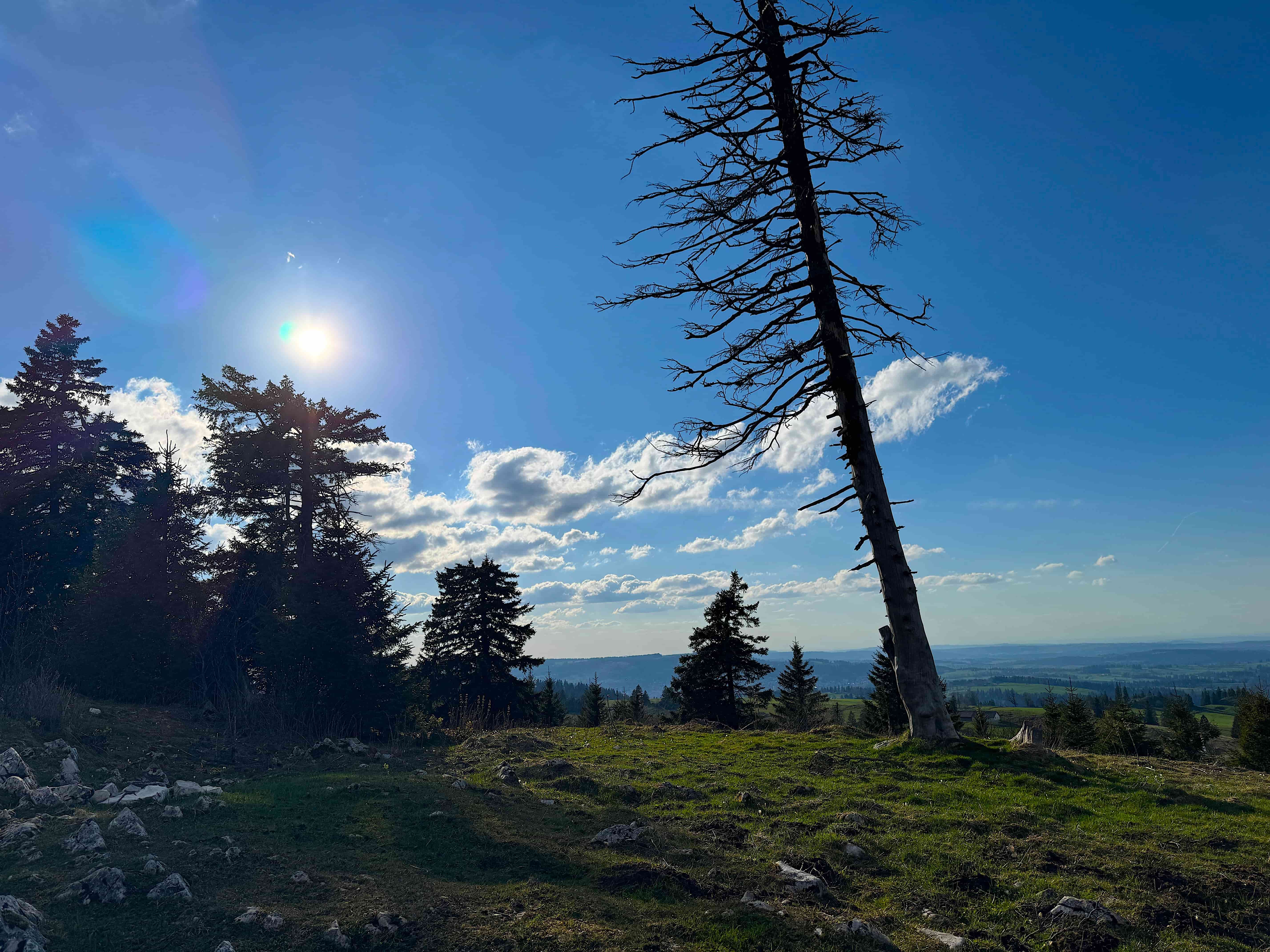 Vue aerienne des montagnes