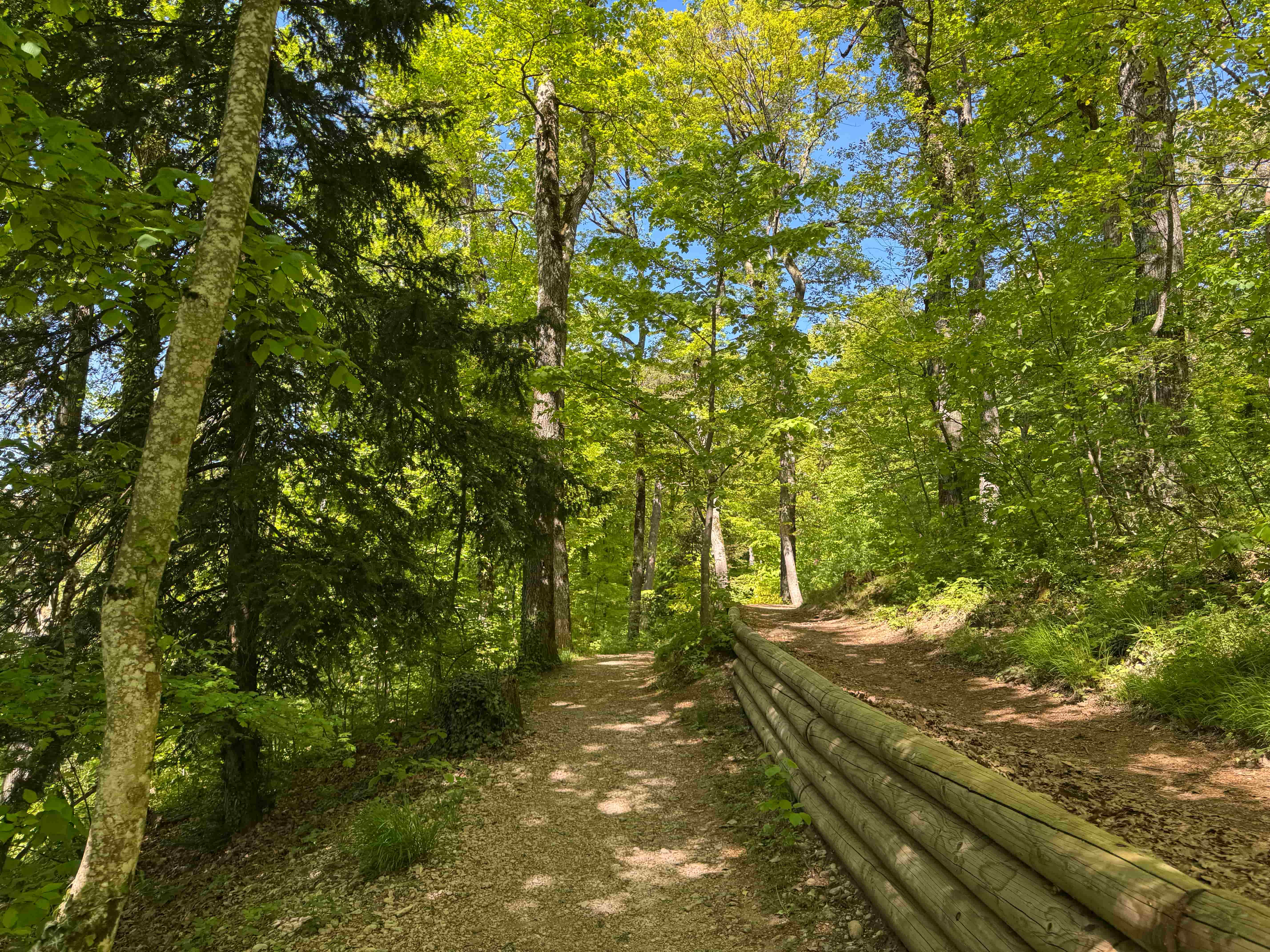 Vue aerienne des montagnes